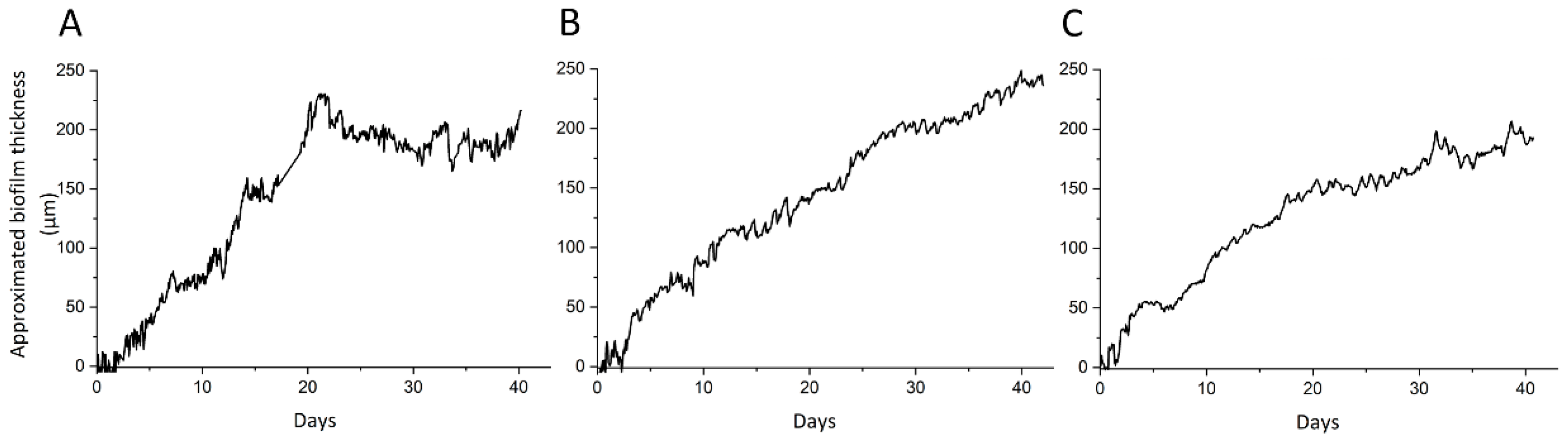 Microorganisms 09 01185 g003 Microorganisms 09 01185 g003