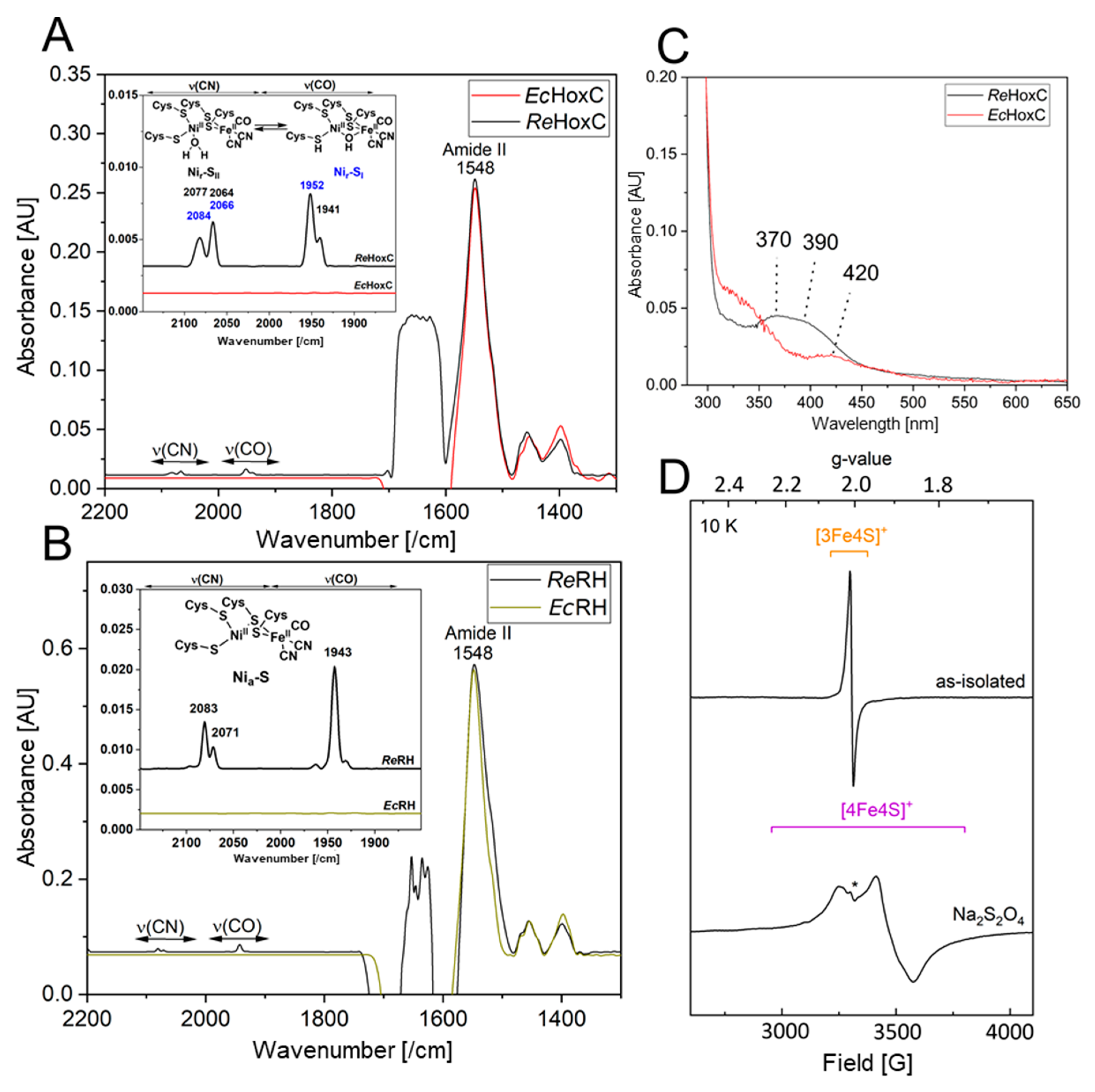 Microorganisms 09 01195 g007 Microorganisms 09 01195 g007