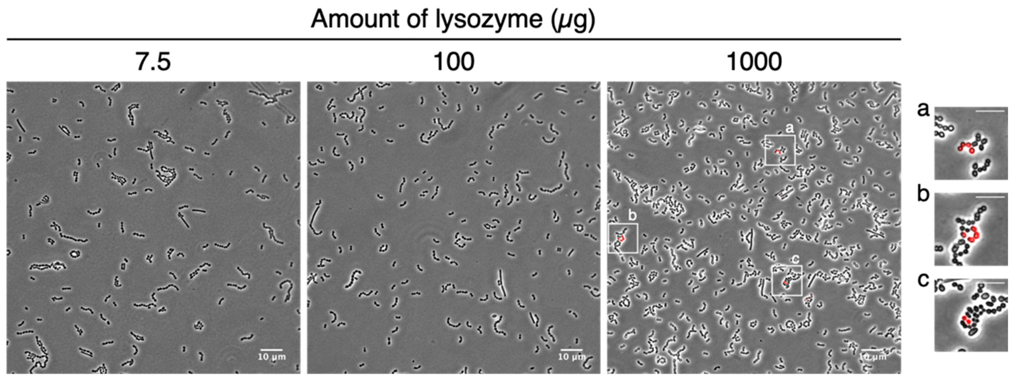 Microorganisms 09 01208 g002
