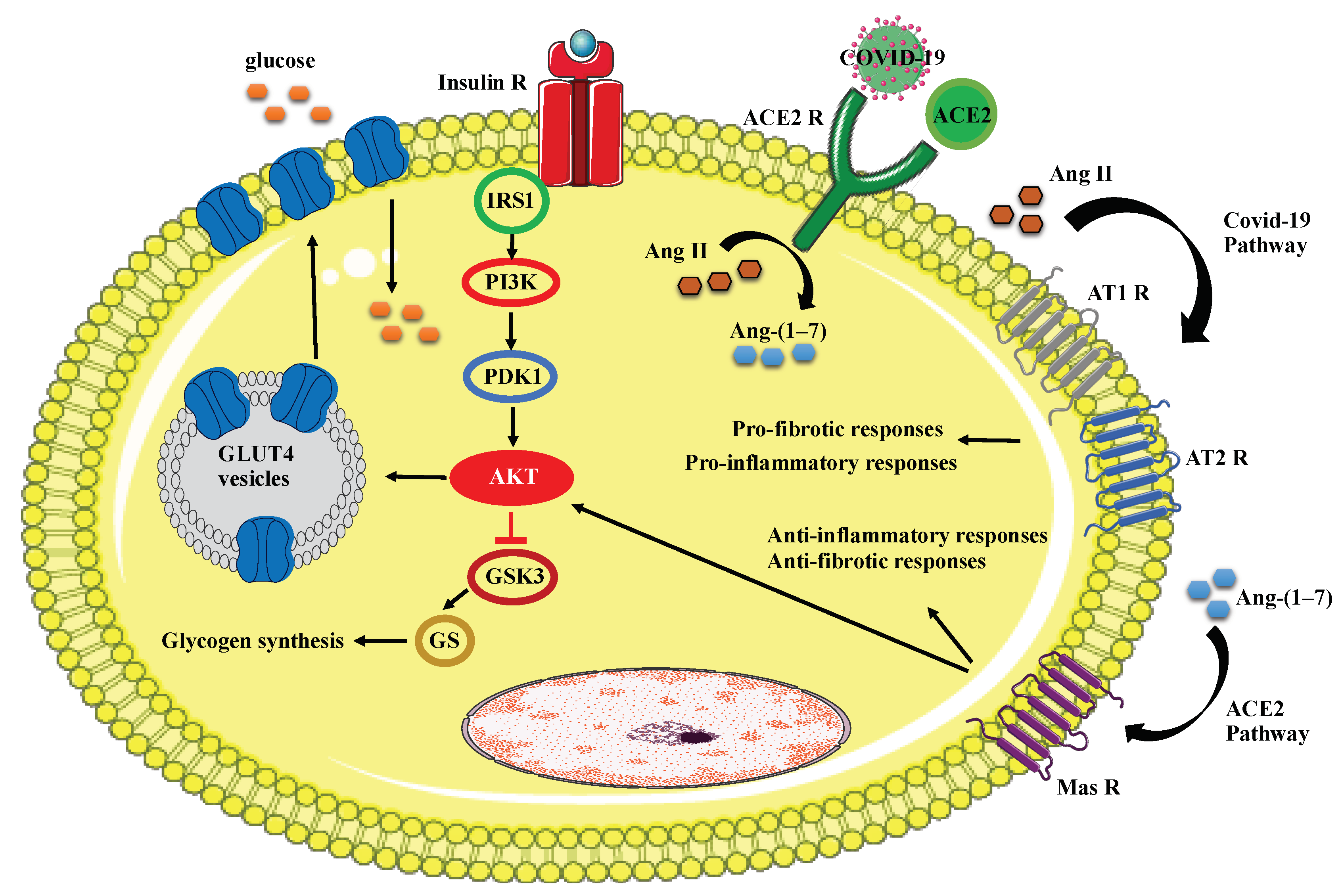 Microorganisms 09 01211 g001