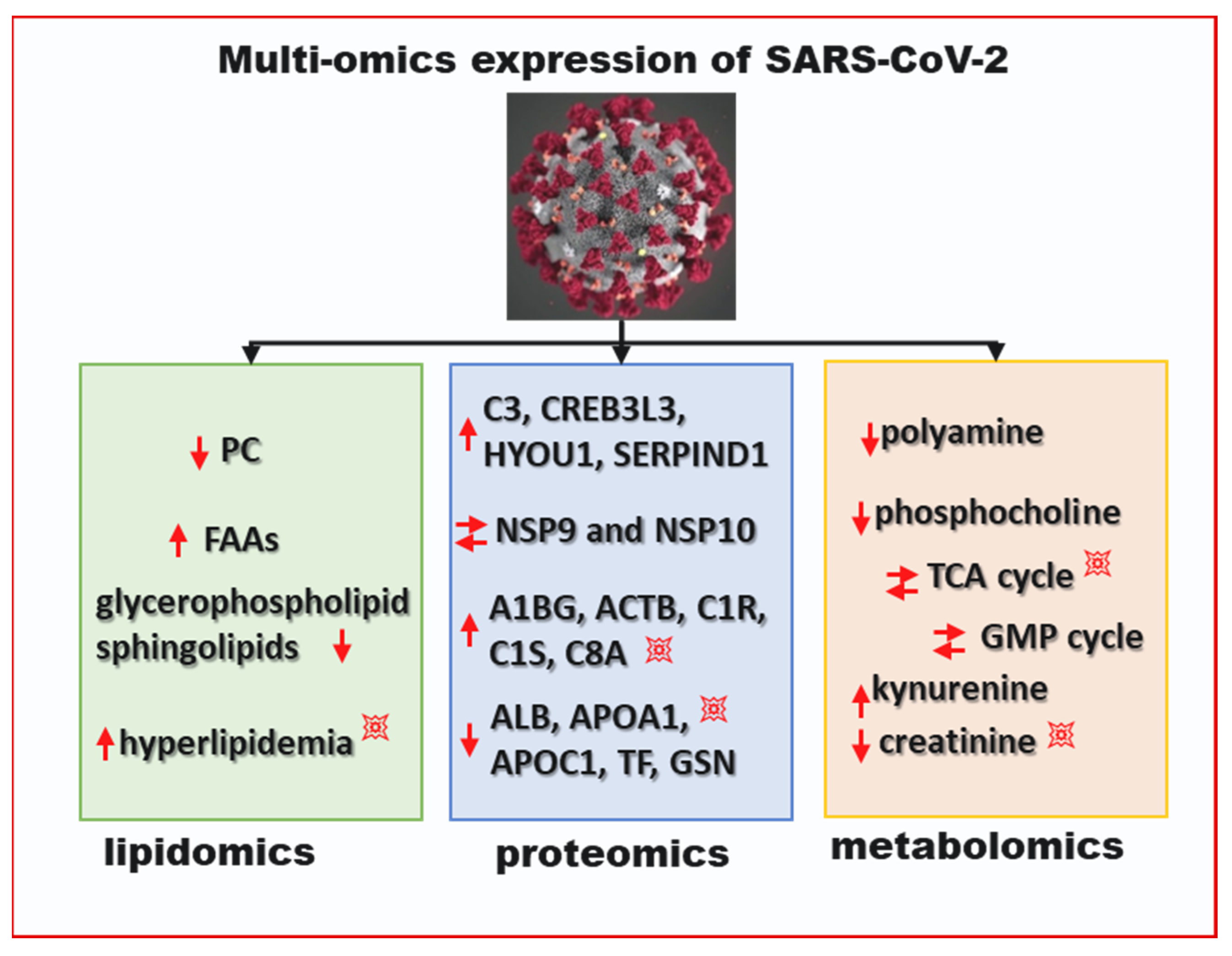 Microorganisms 09 01211 g002