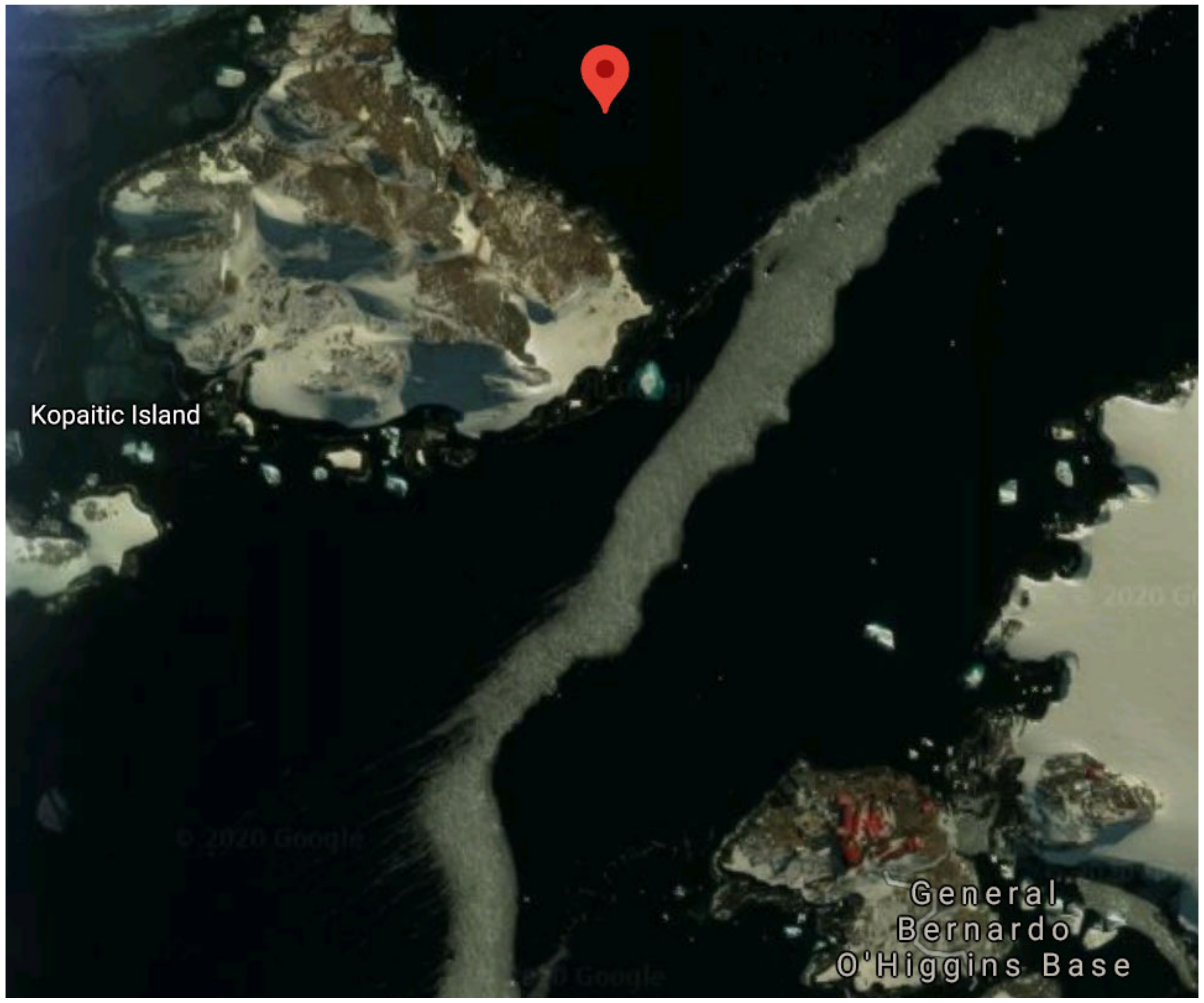 Microorganisms 09 01213 g002