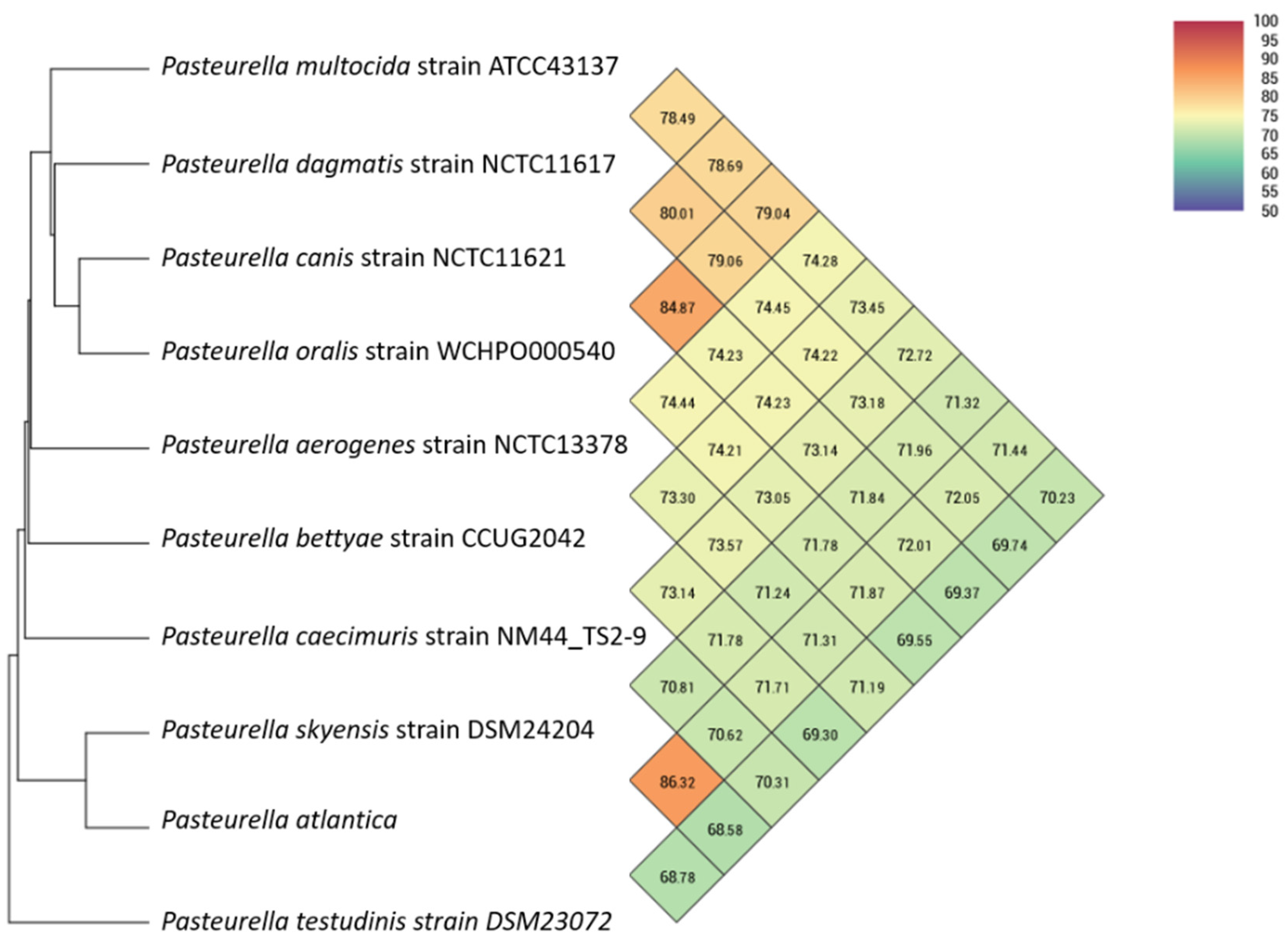 Microorganisms 09 01215 g001