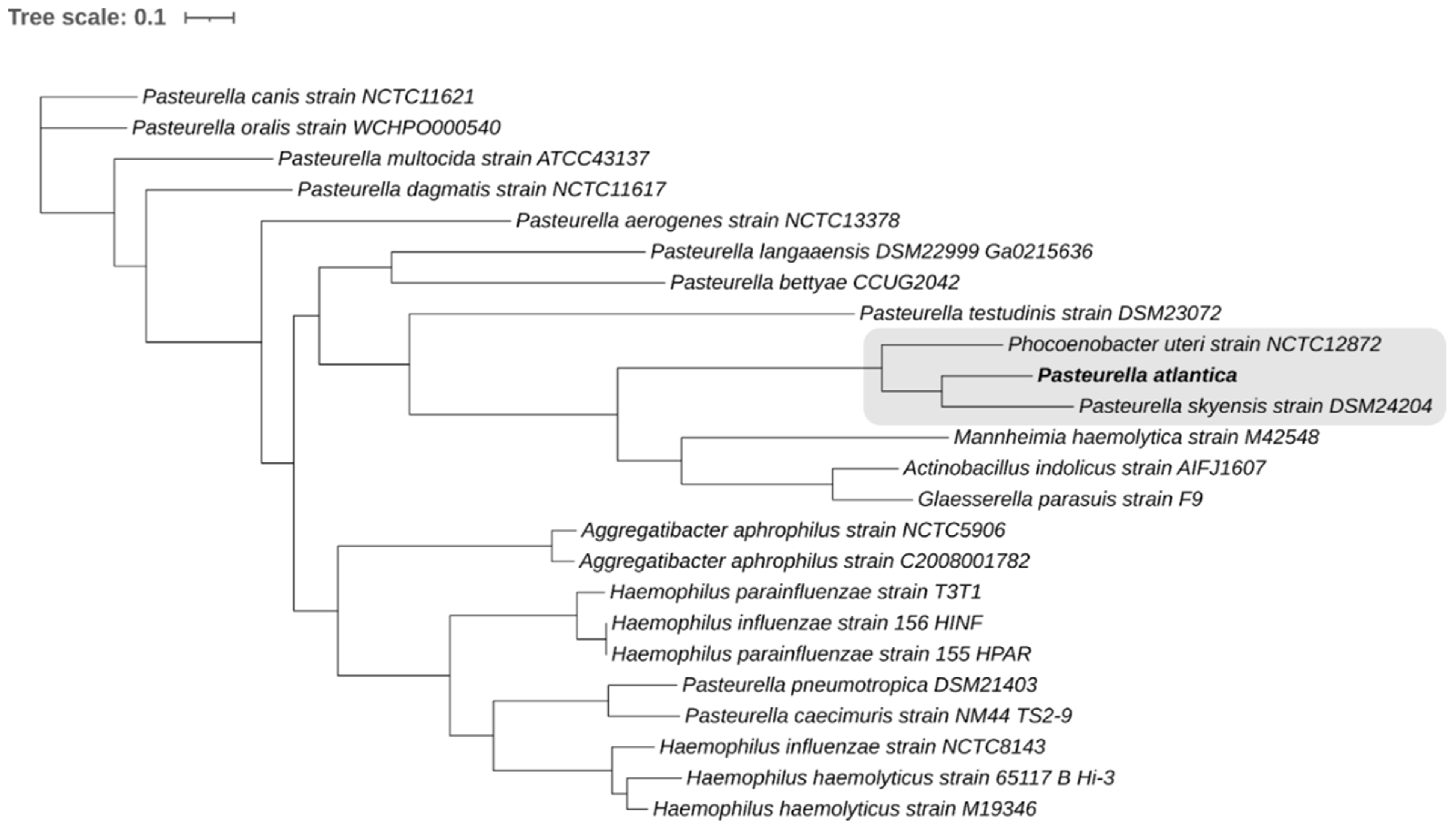 Microorganisms 09 01215 g002