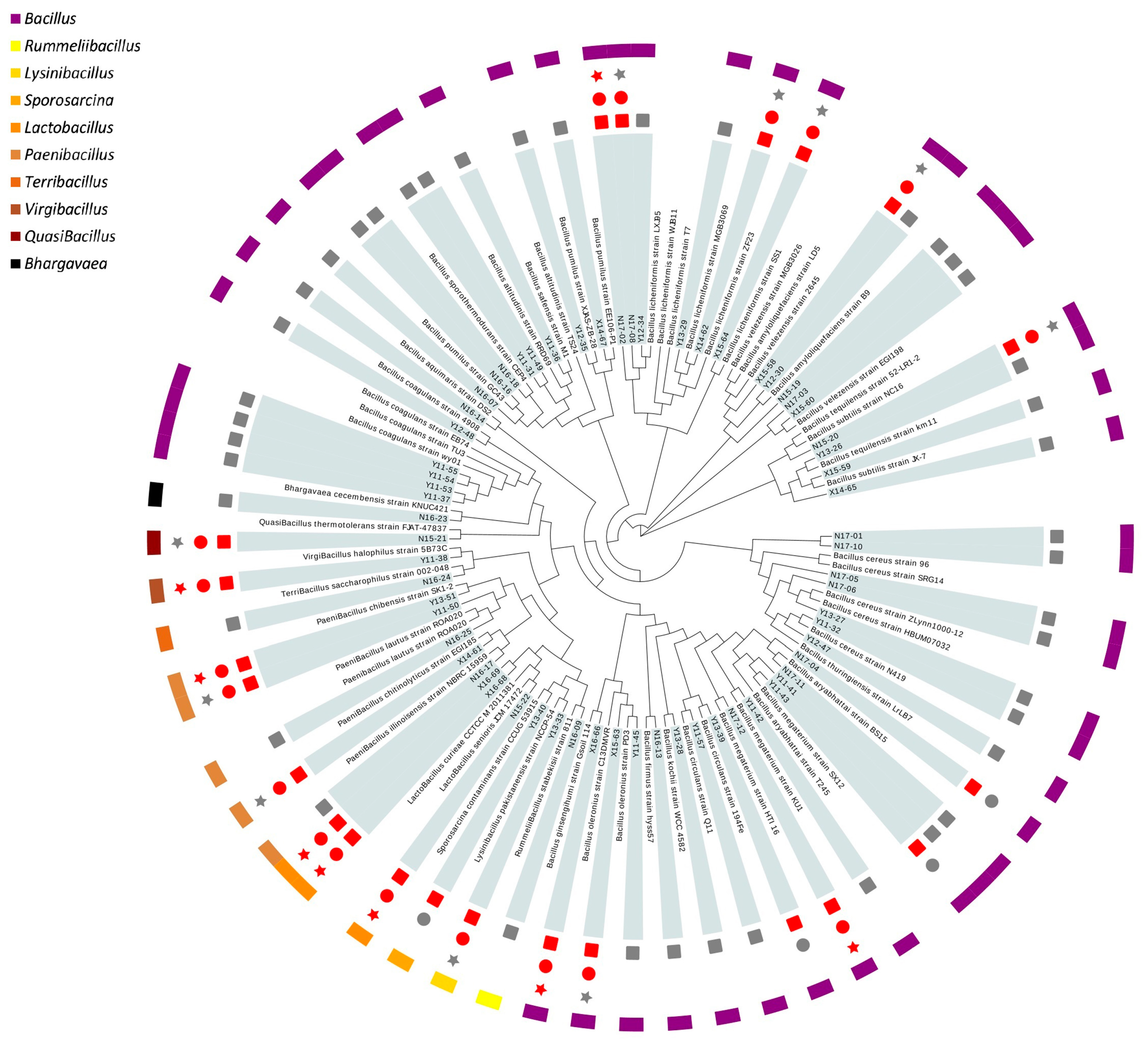 Microorganisms 09 01224 g001