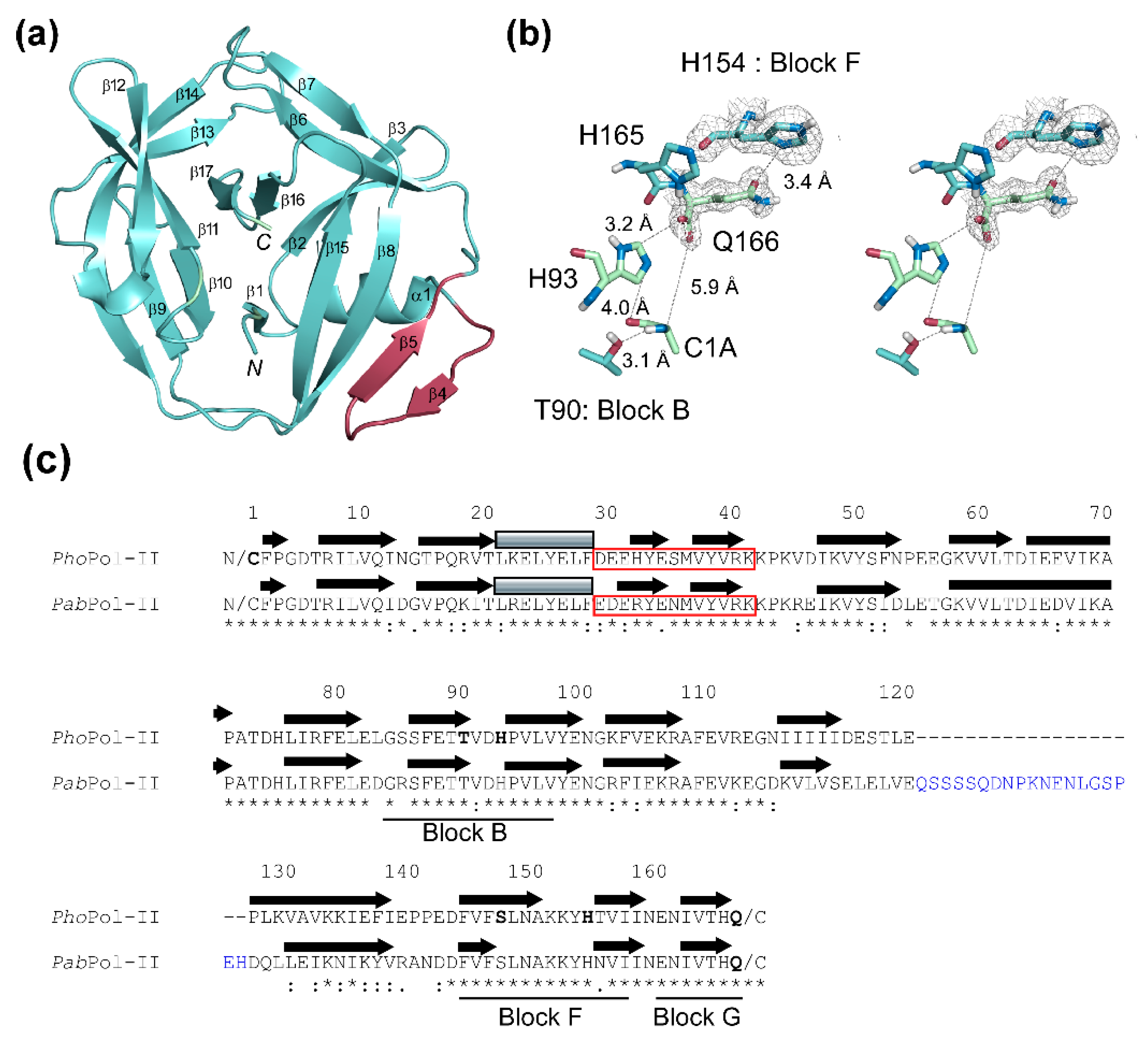 Microorganisms 09 01226 g001 Microorganisms 09 01226 g001