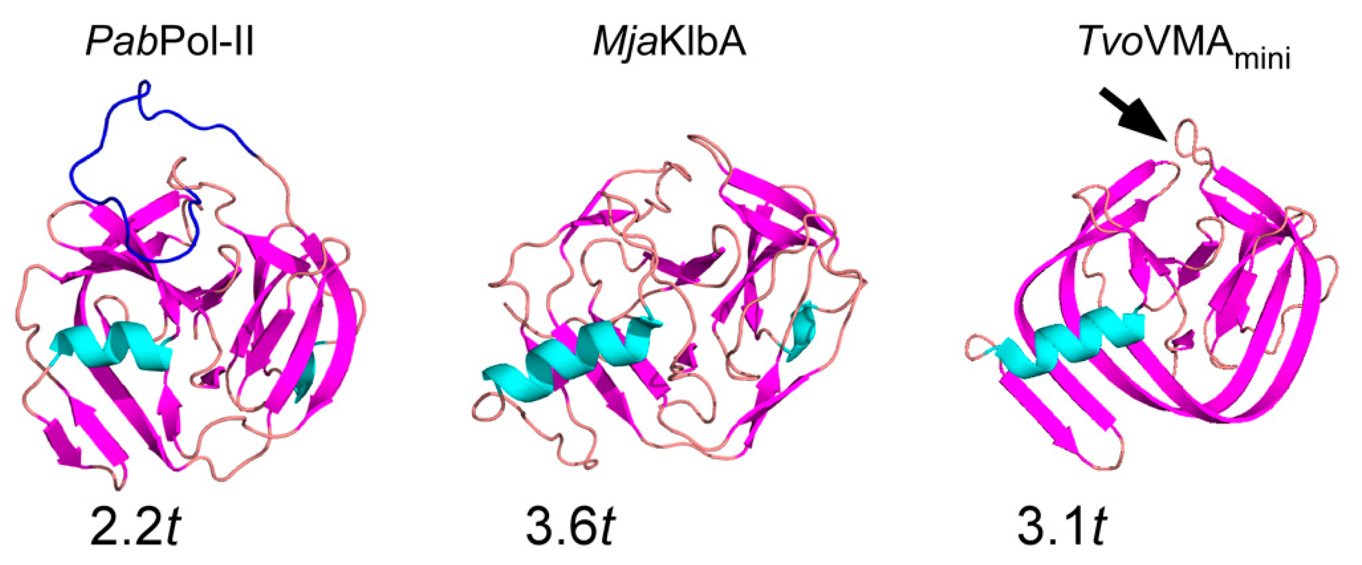 Microorganisms 09 01226 g003 Microorganisms 09 01226 g003
