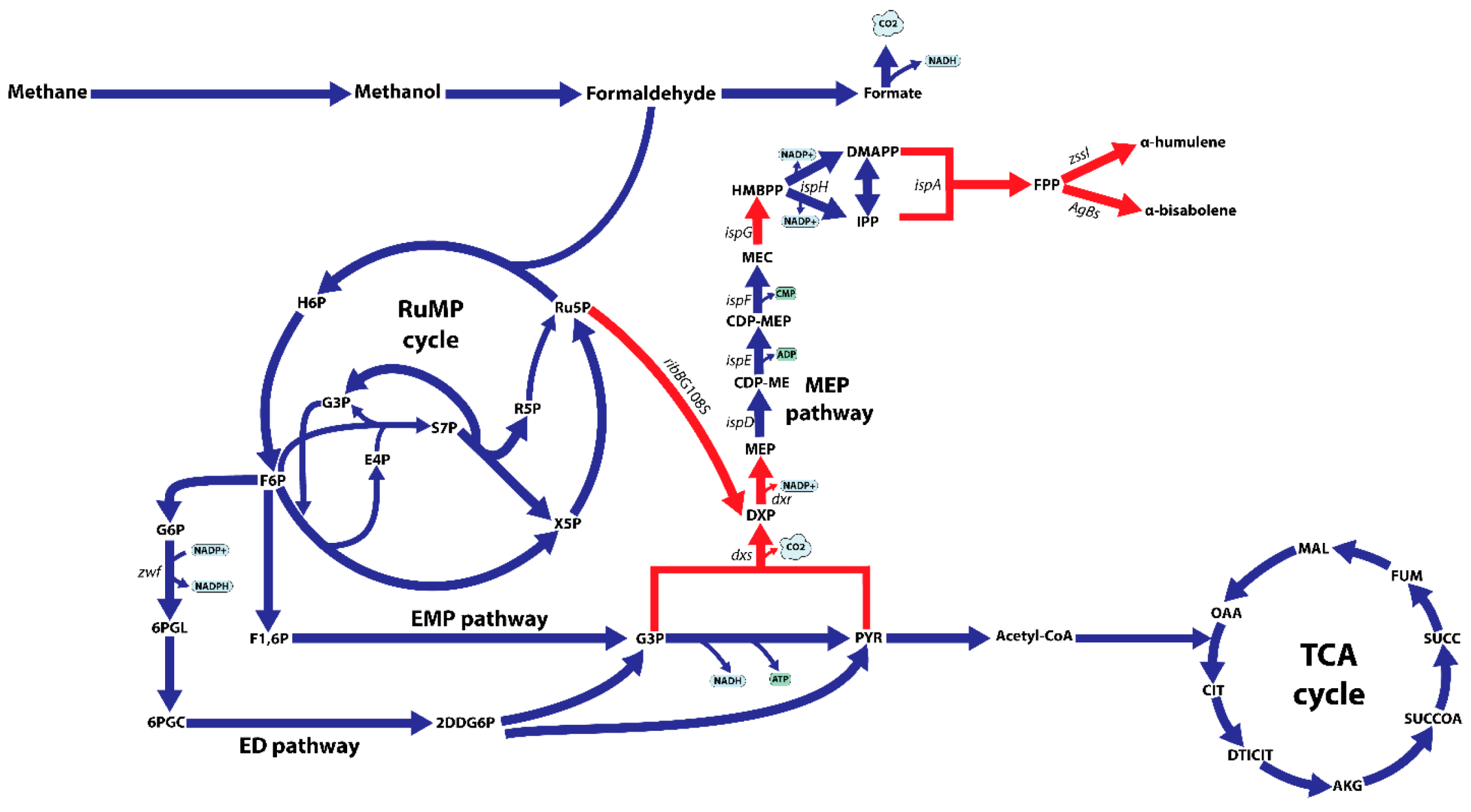 Microorganisms 09 01236 g001 Microorganisms 09 01236 g001