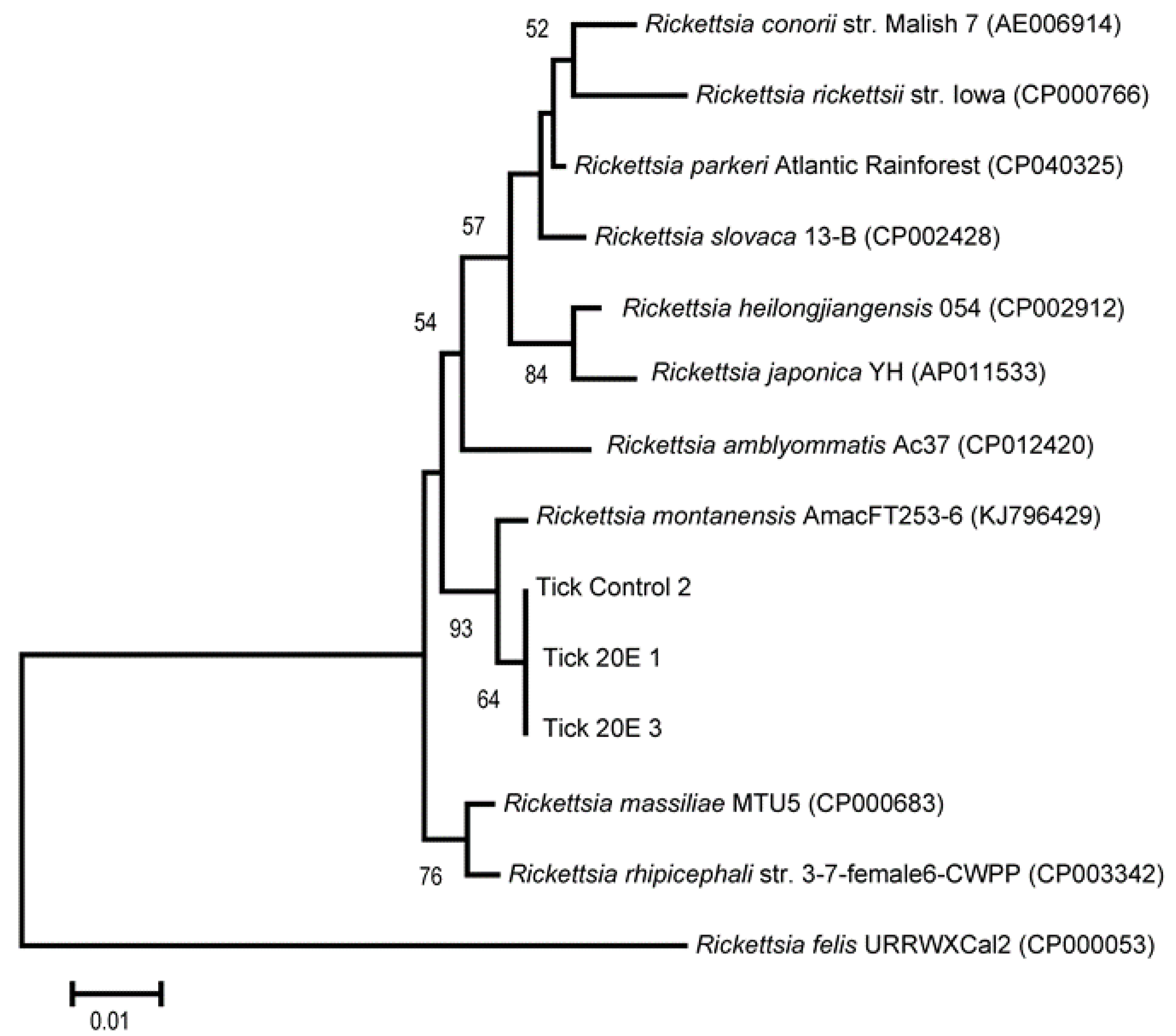 Microorganisms 09 01242 g005