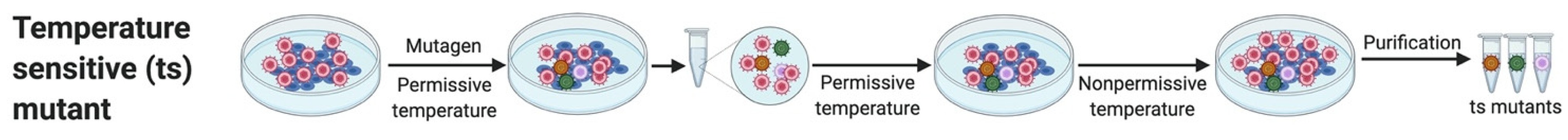 Microorganisms 09 01260 g001 Microorganisms 09 01260 g001