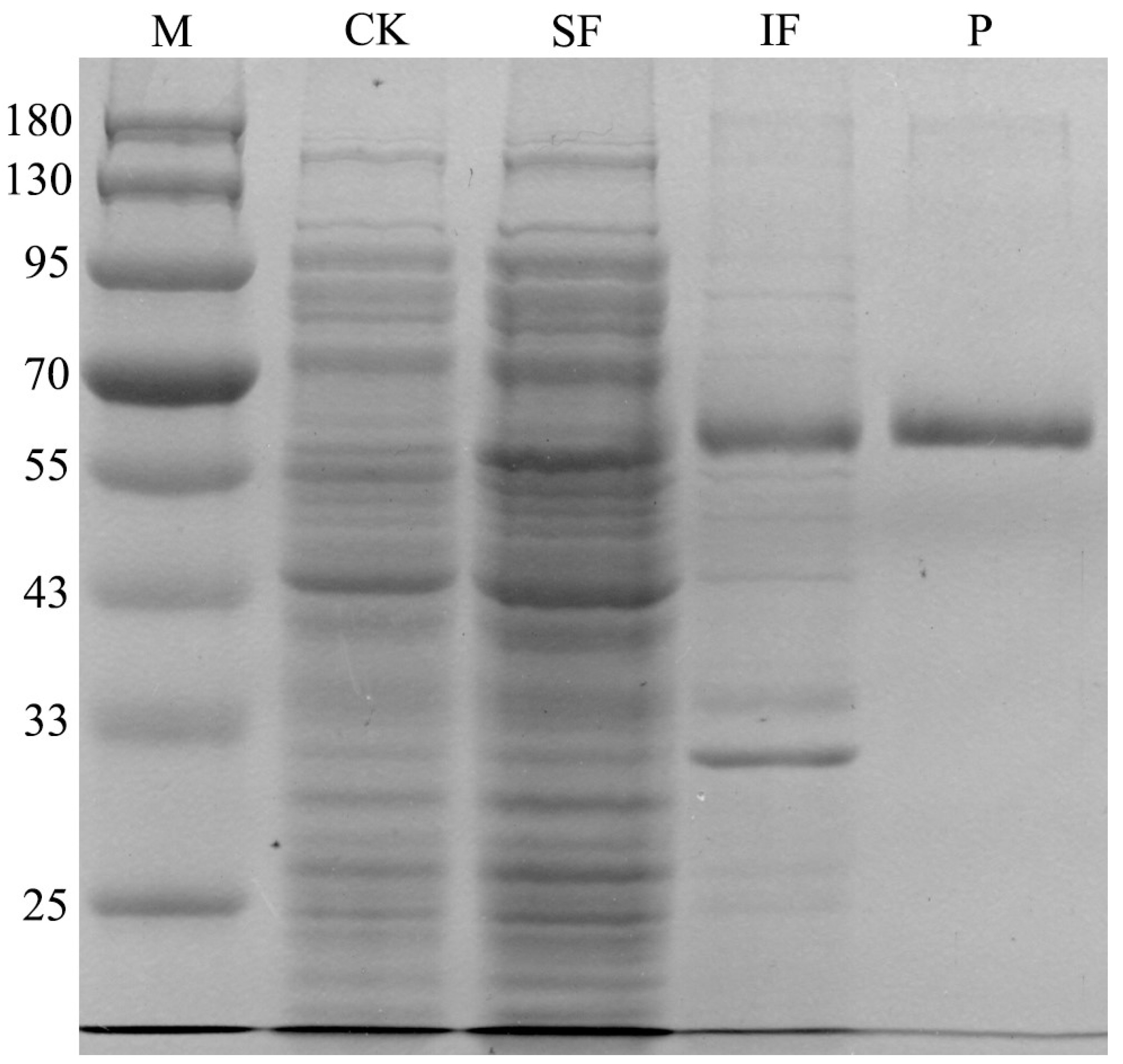 Microorganisms 09 01261 g006
