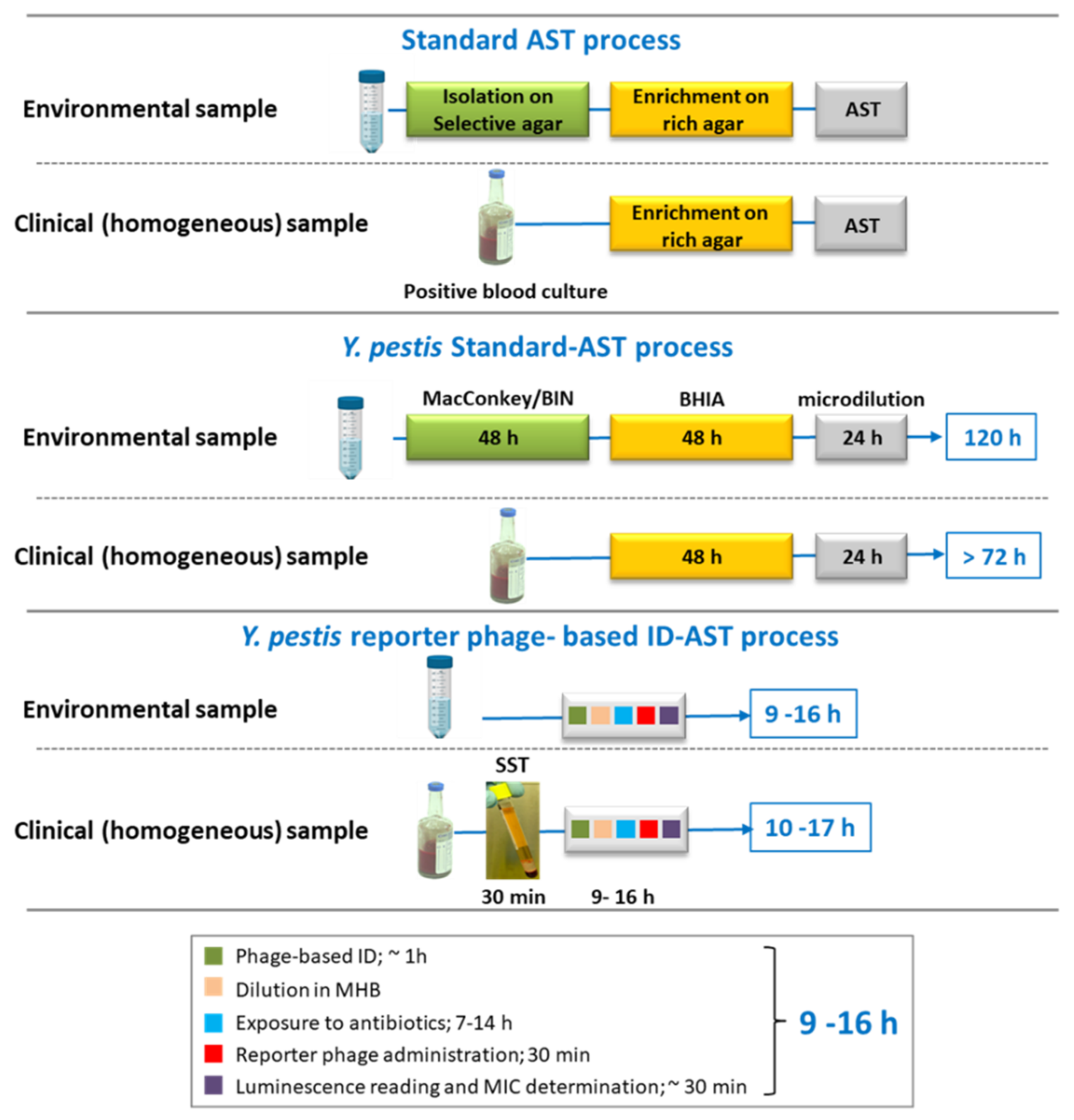 Microorganisms 09 01278 g007