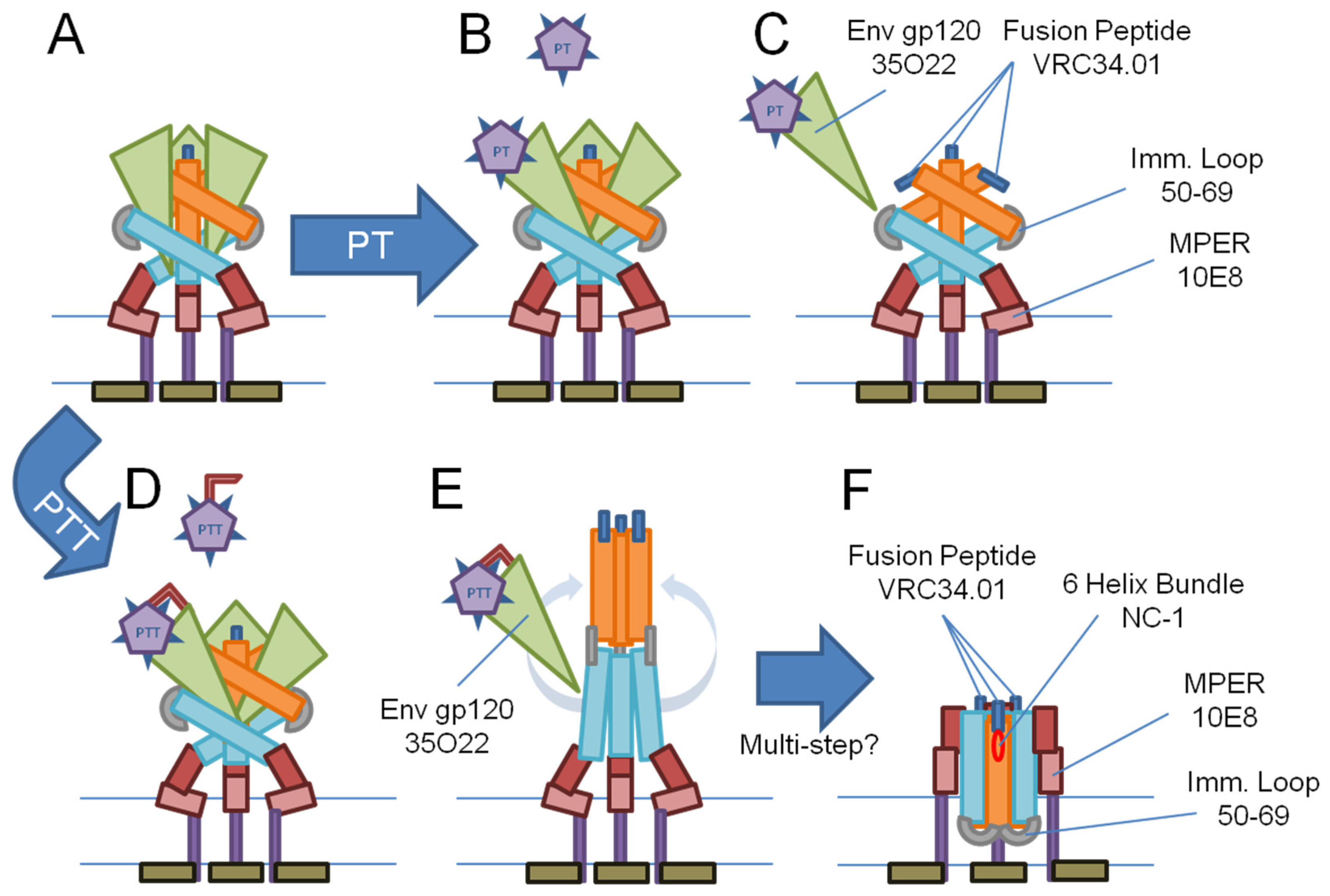 Microorganisms 09 01286 g006