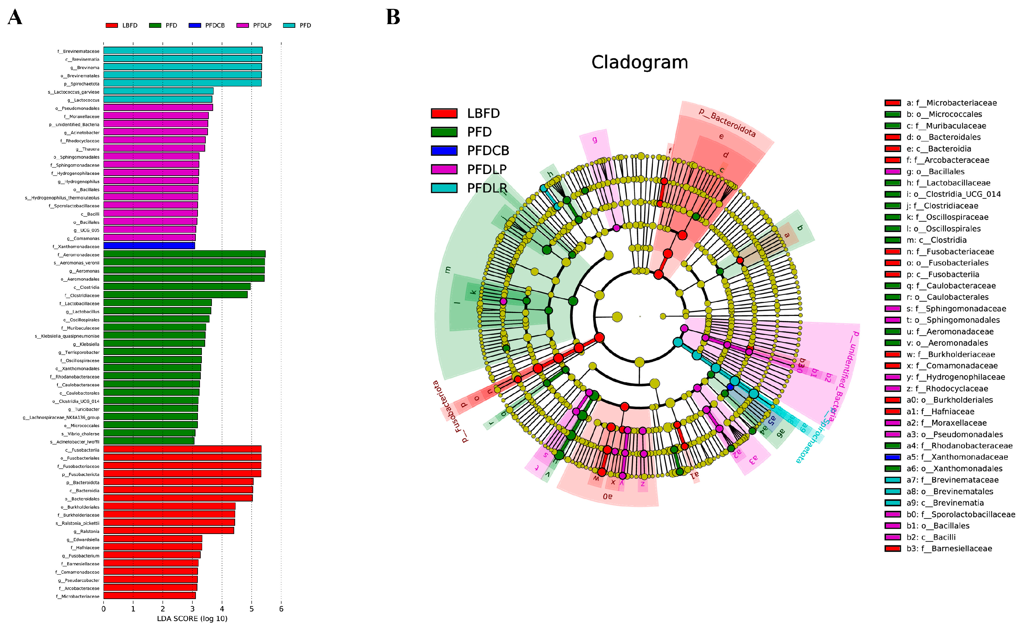 Microorganisms 09 01288 g010 Microorganisms 09 01288 g010