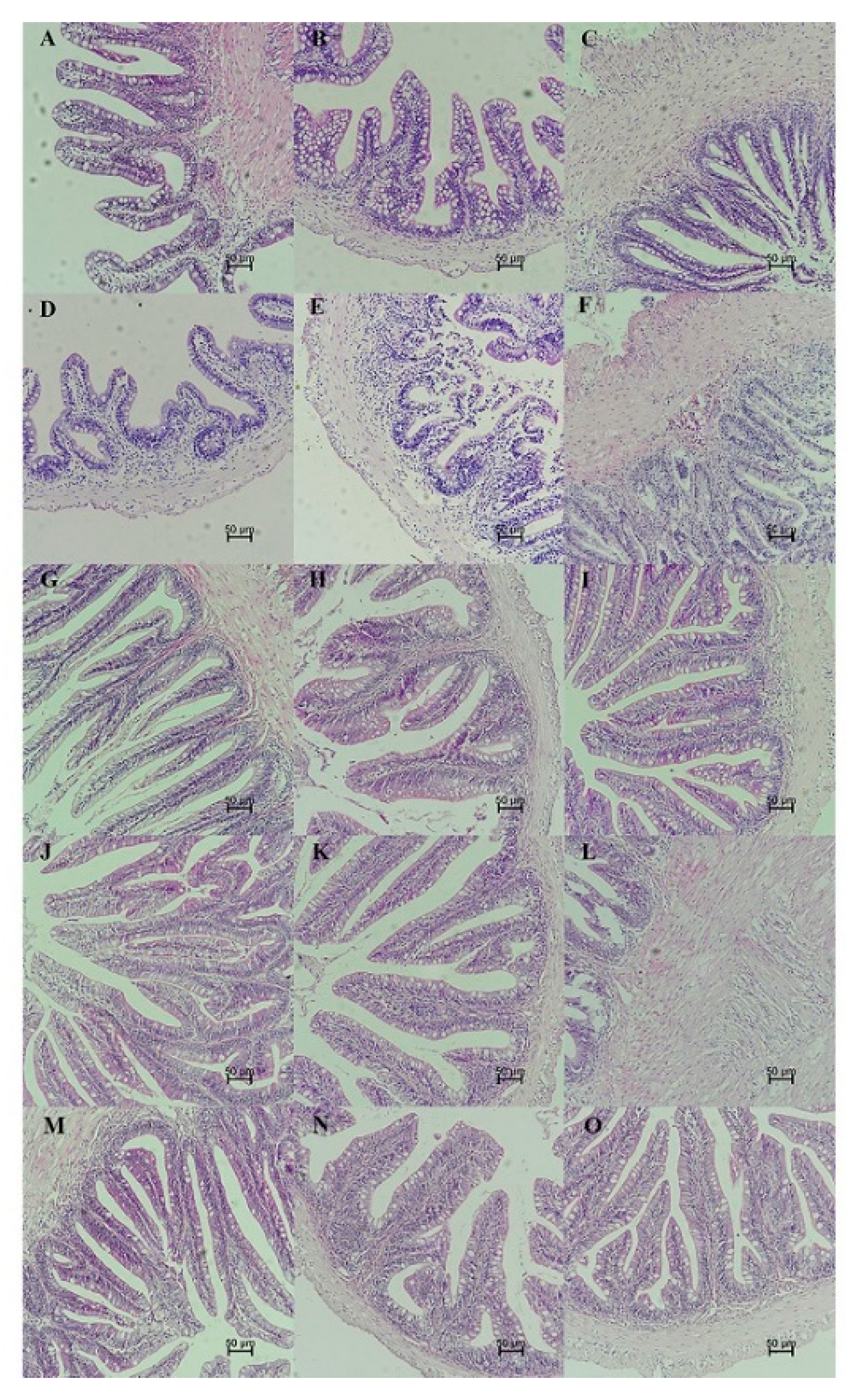 Microorganisms 09 01288 g012 Microorganisms 09 01288 g012
