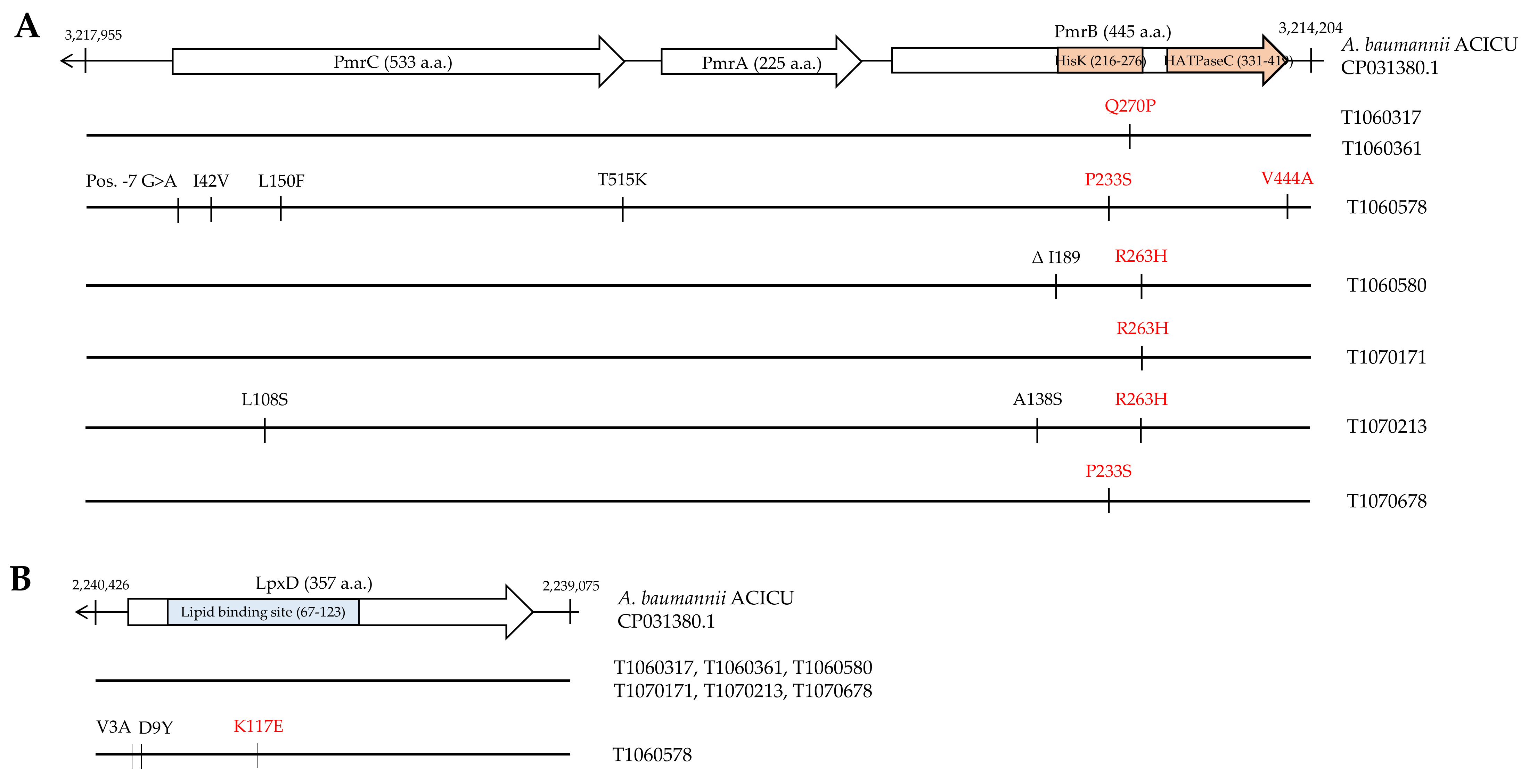 Microorganisms 09 01295 g001 Microorganisms 09 01295 g001