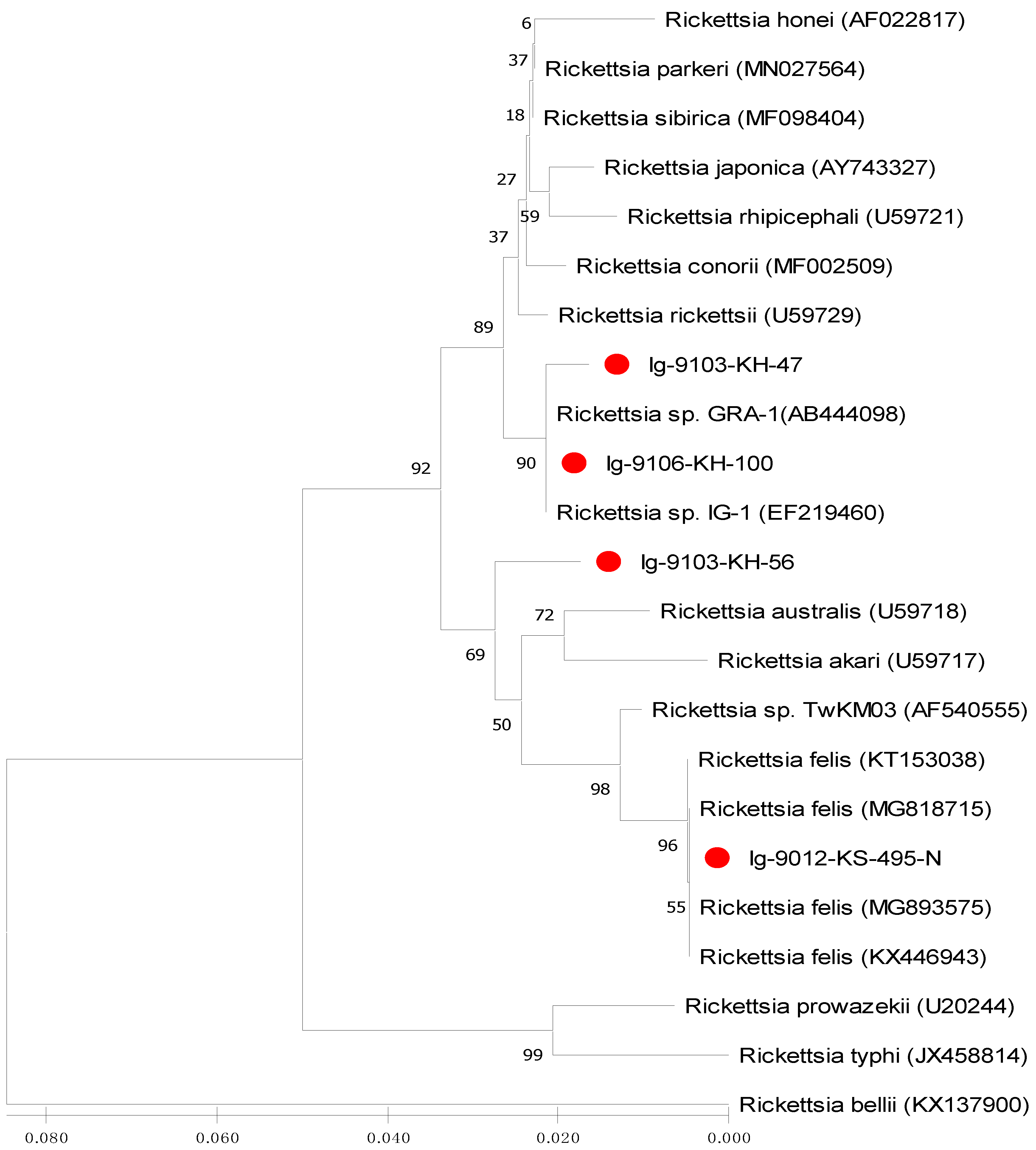 Microorganisms 09 01309 g002 Microorganisms 09 01309 g002