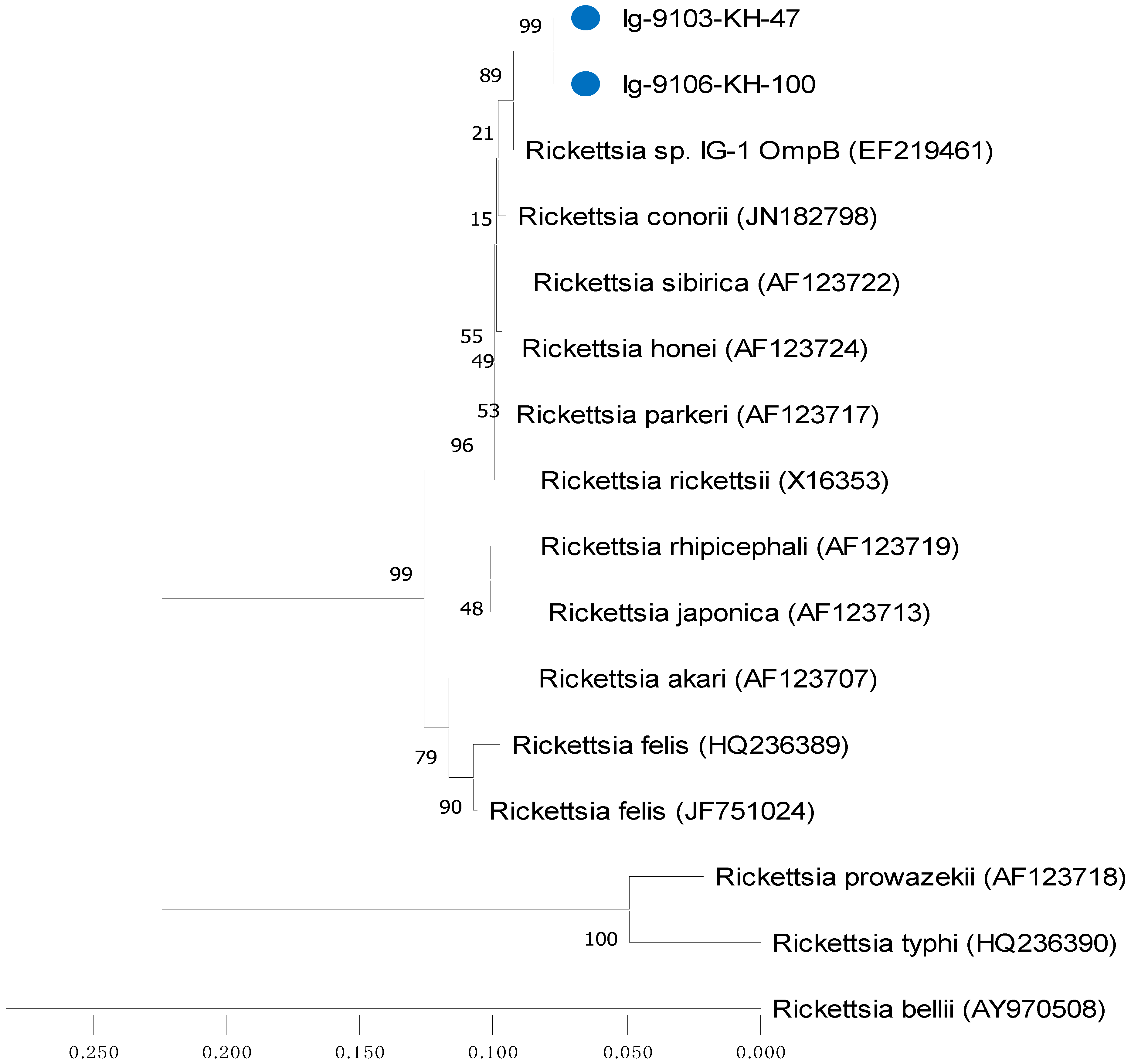 Microorganisms 09 01309 g004 Microorganisms 09 01309 g004