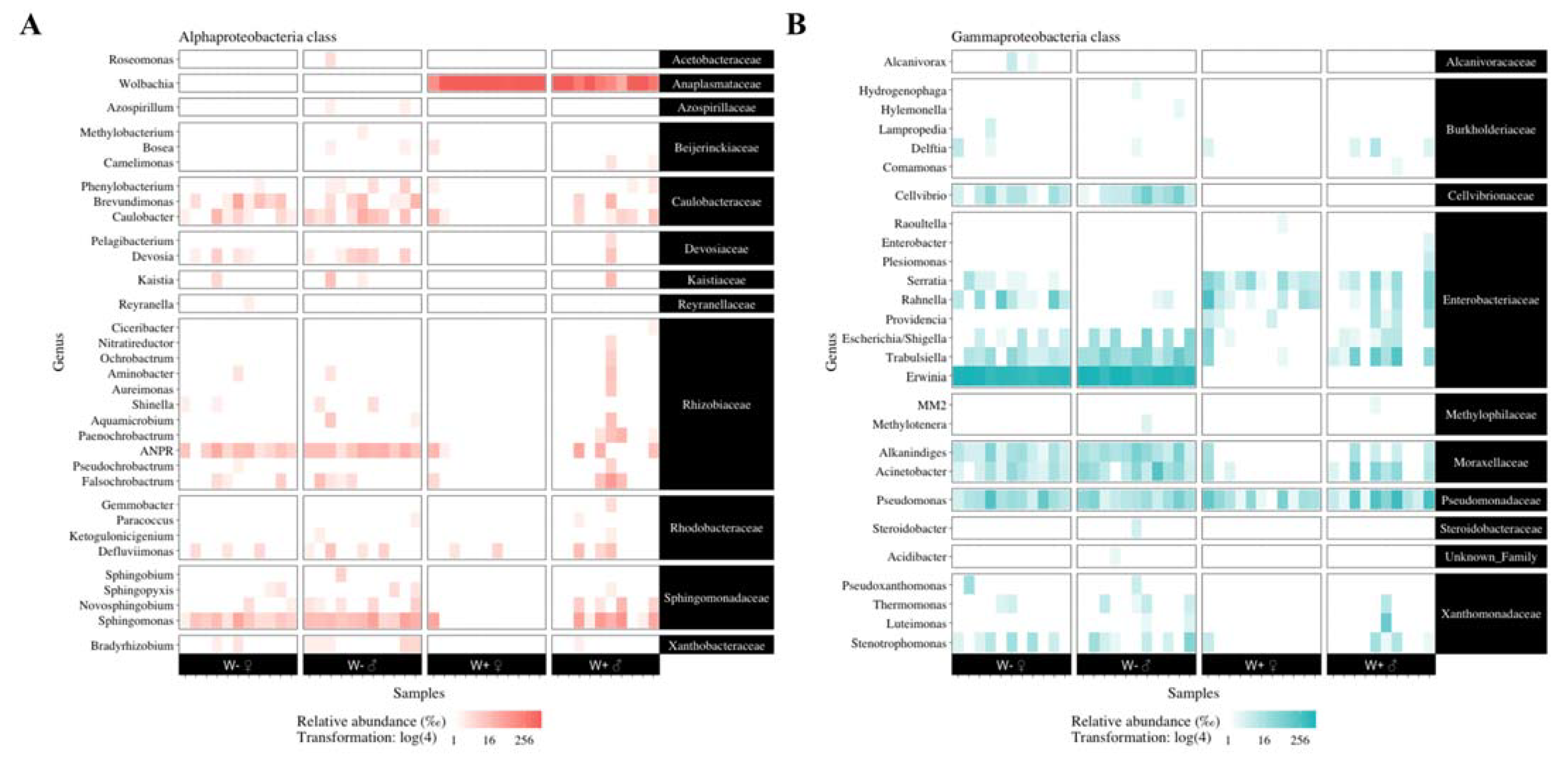 Microorganisms 09 01313 g003