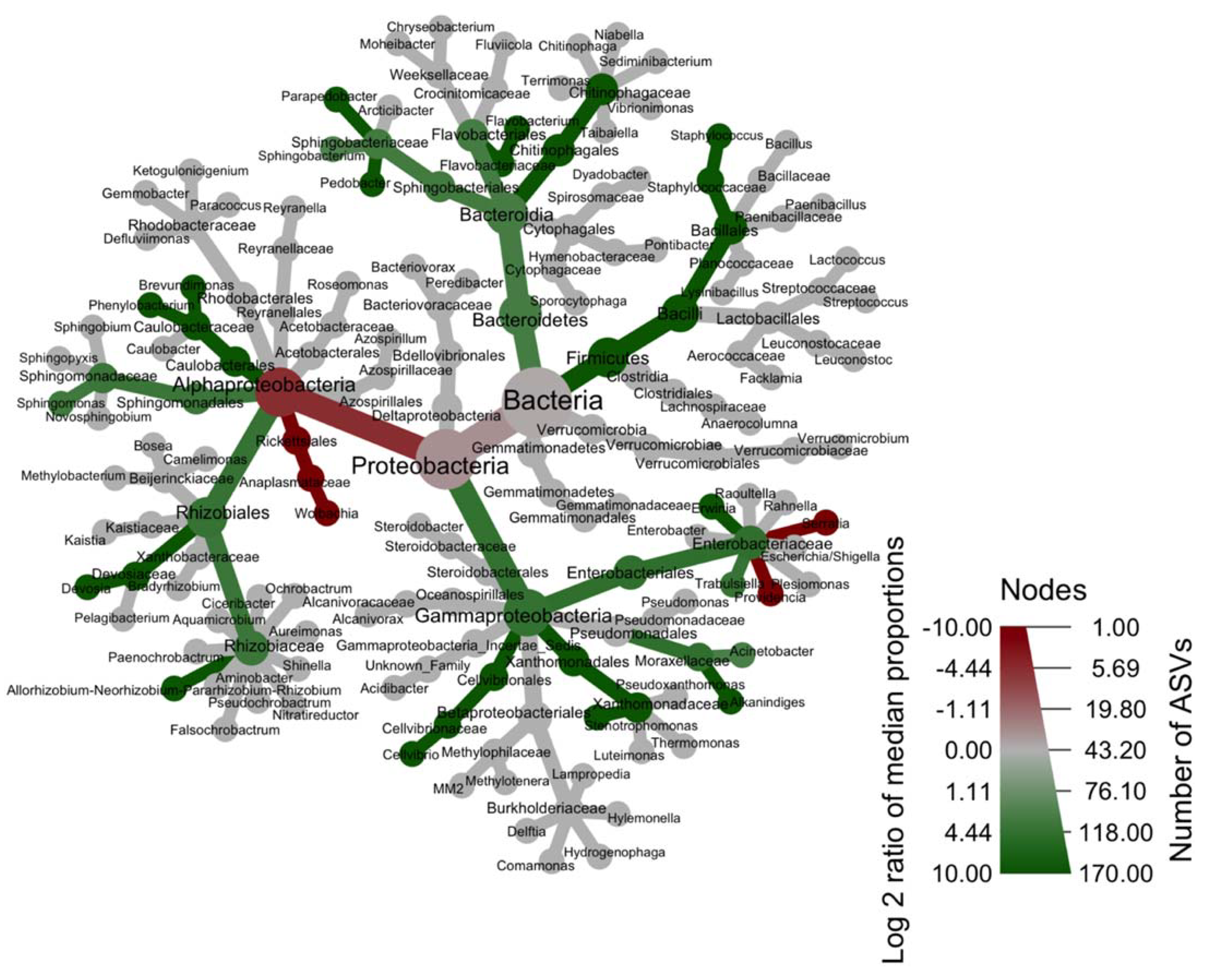 Microorganisms 09 01313 g004