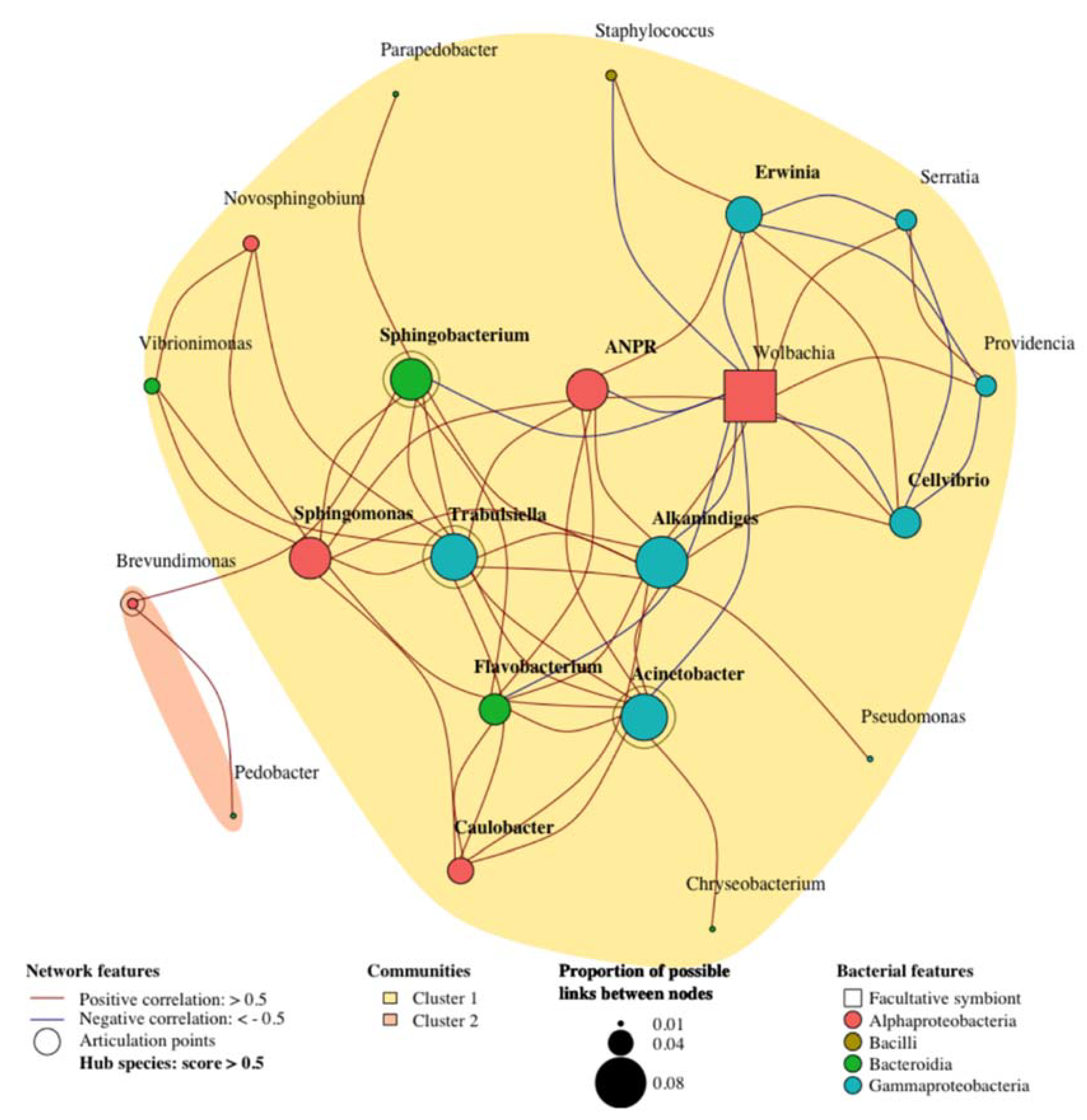 Microorganisms 09 01313 g005