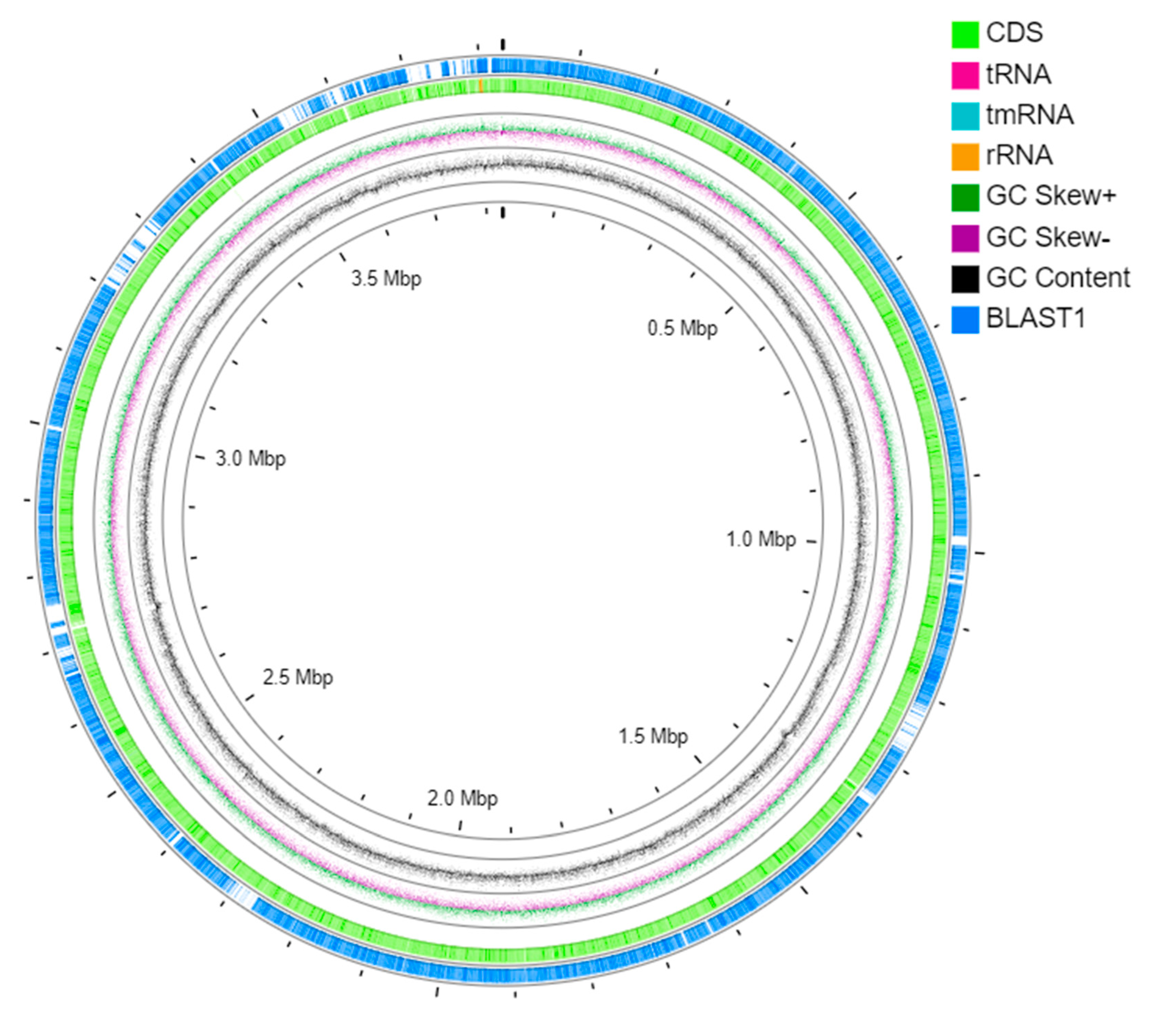 Microorganisms 09 01327 g005 Microorganisms 09 01327 g005