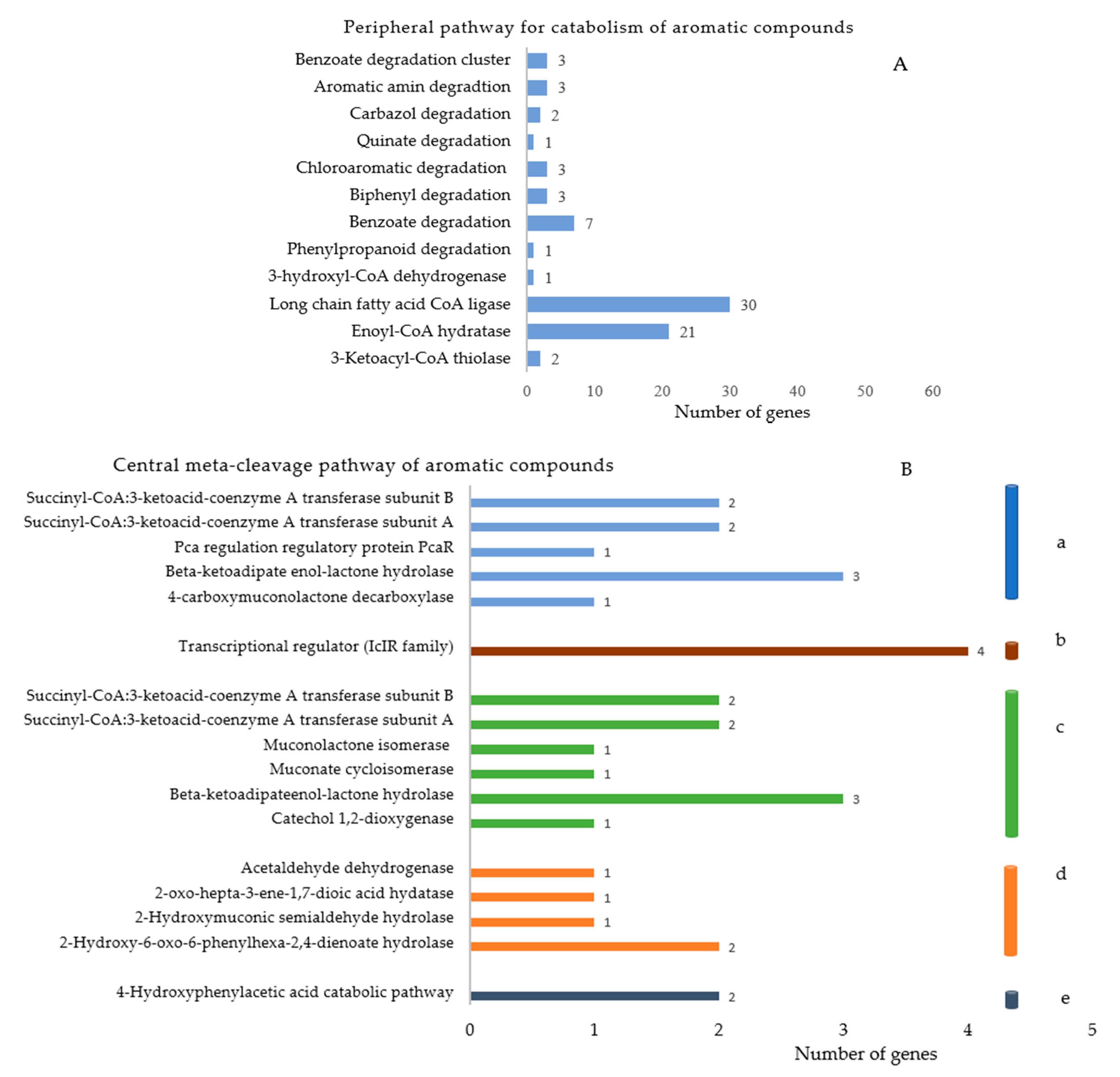 Microorganisms 09 01327 g006 Microorganisms 09 01327 g006