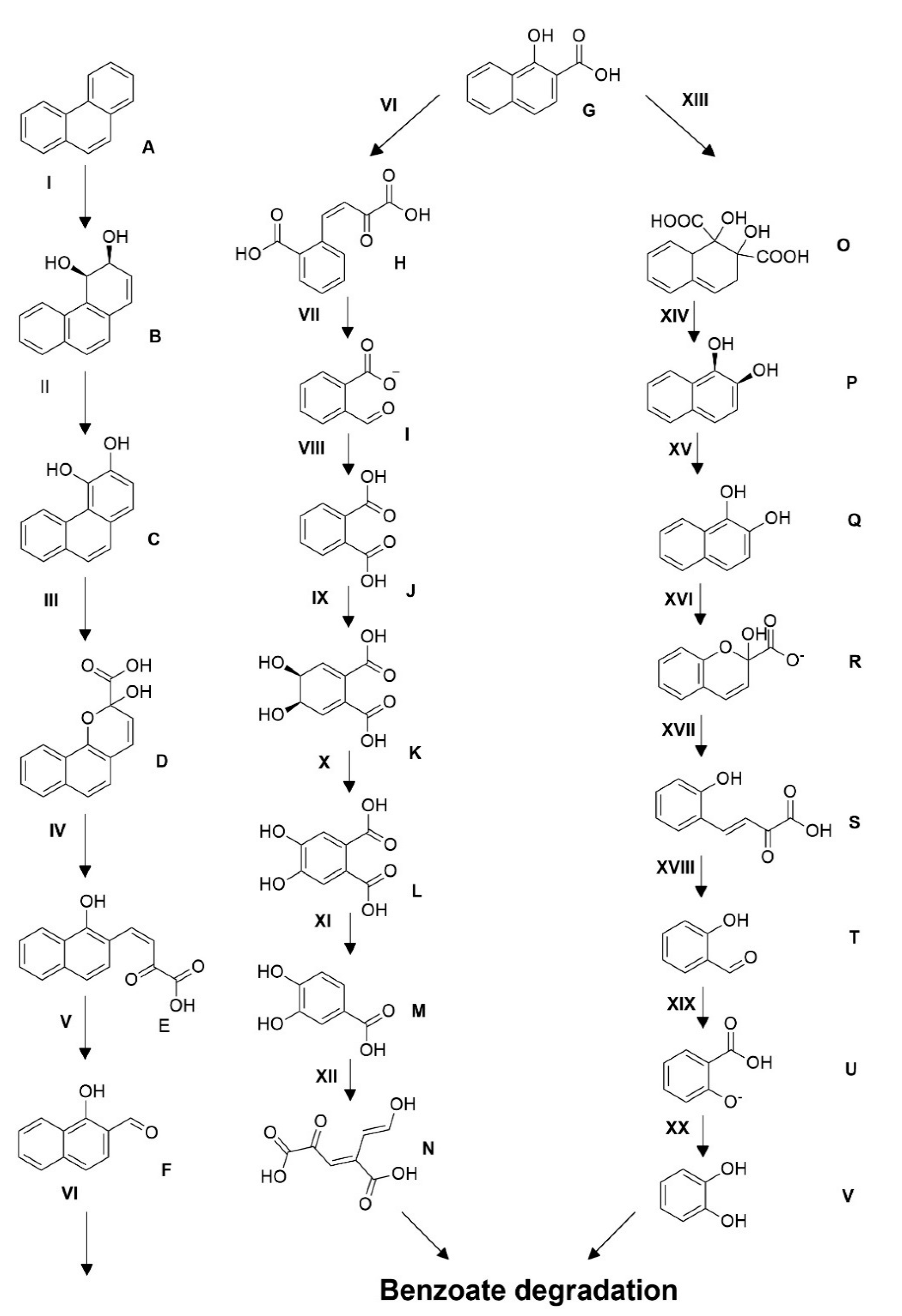 Microorganisms 09 01327 g009 Microorganisms 09 01327 g009