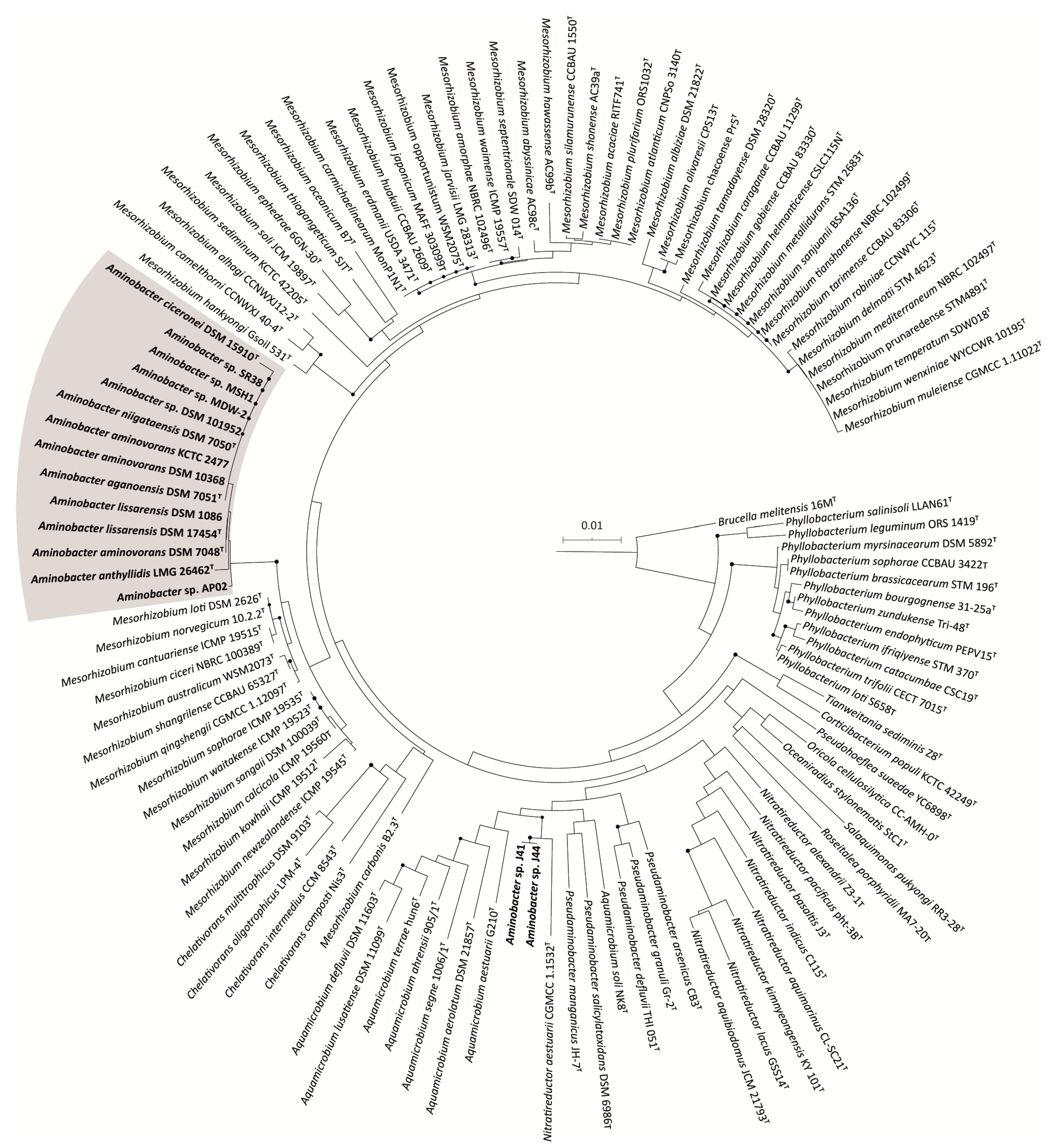 Microorganisms 09 01332 g001 Microorganisms 09 01332 g001