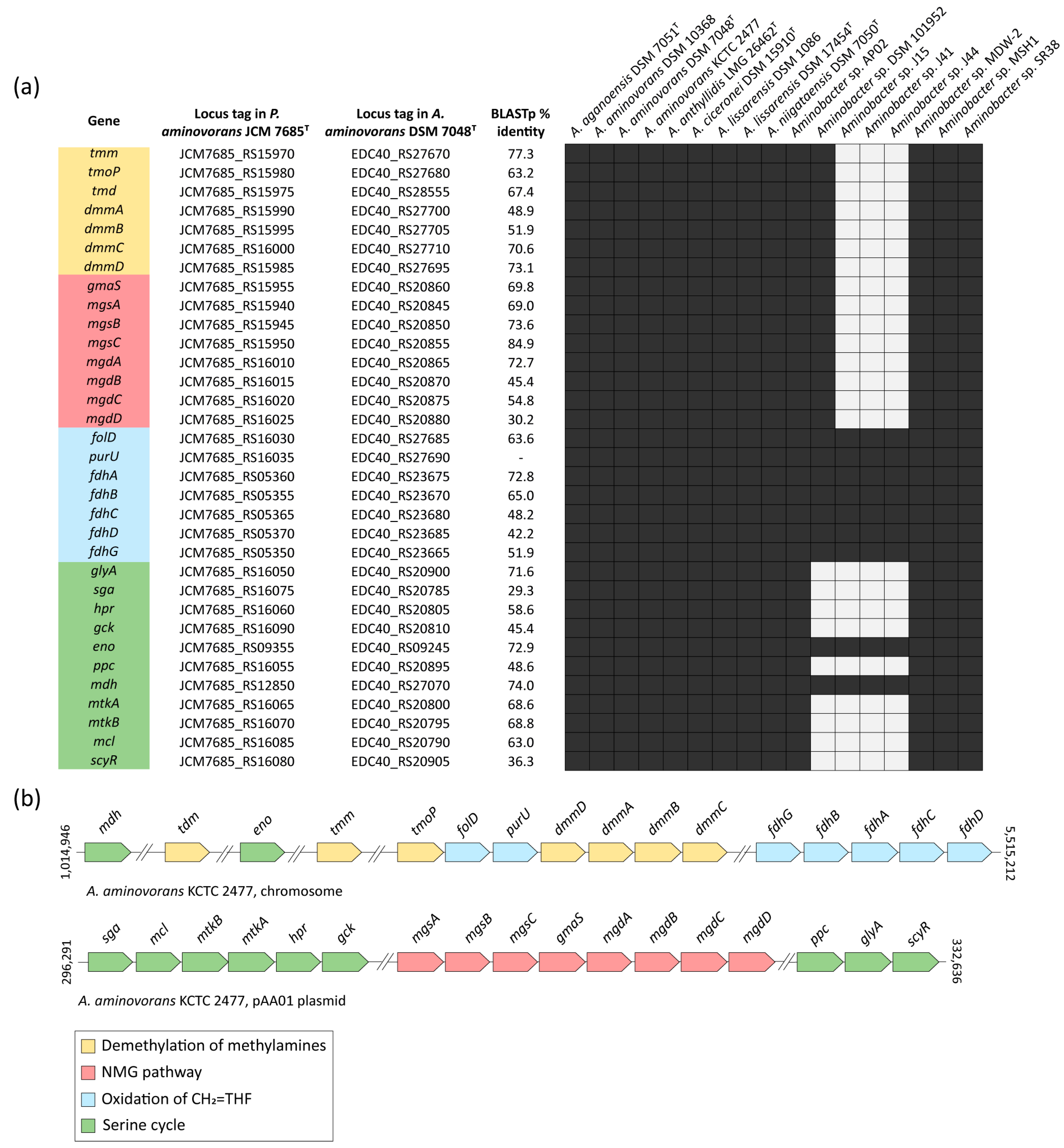 Microorganisms 09 01332 g007 Microorganisms 09 01332 g007