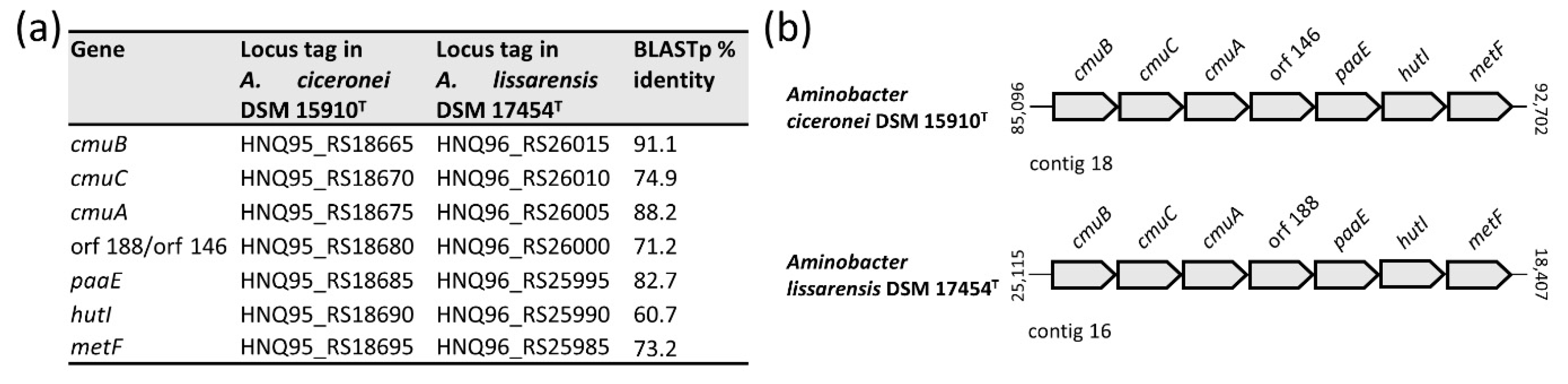 Microorganisms 09 01332 g008 Microorganisms 09 01332 g008