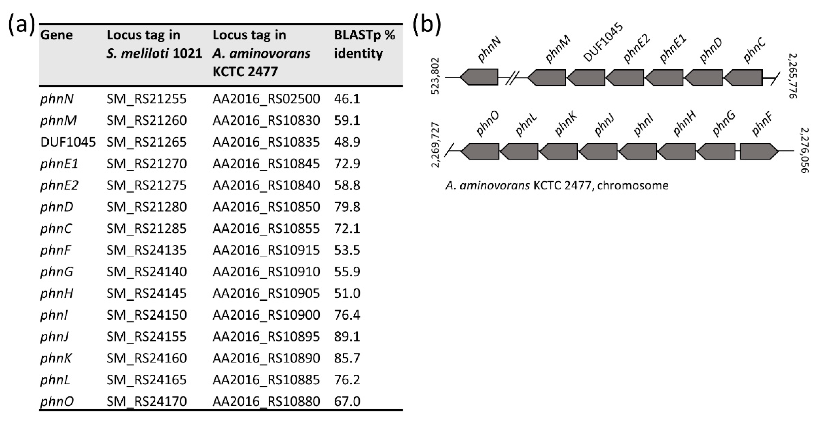 Microorganisms 09 01332 g009 Microorganisms 09 01332 g009