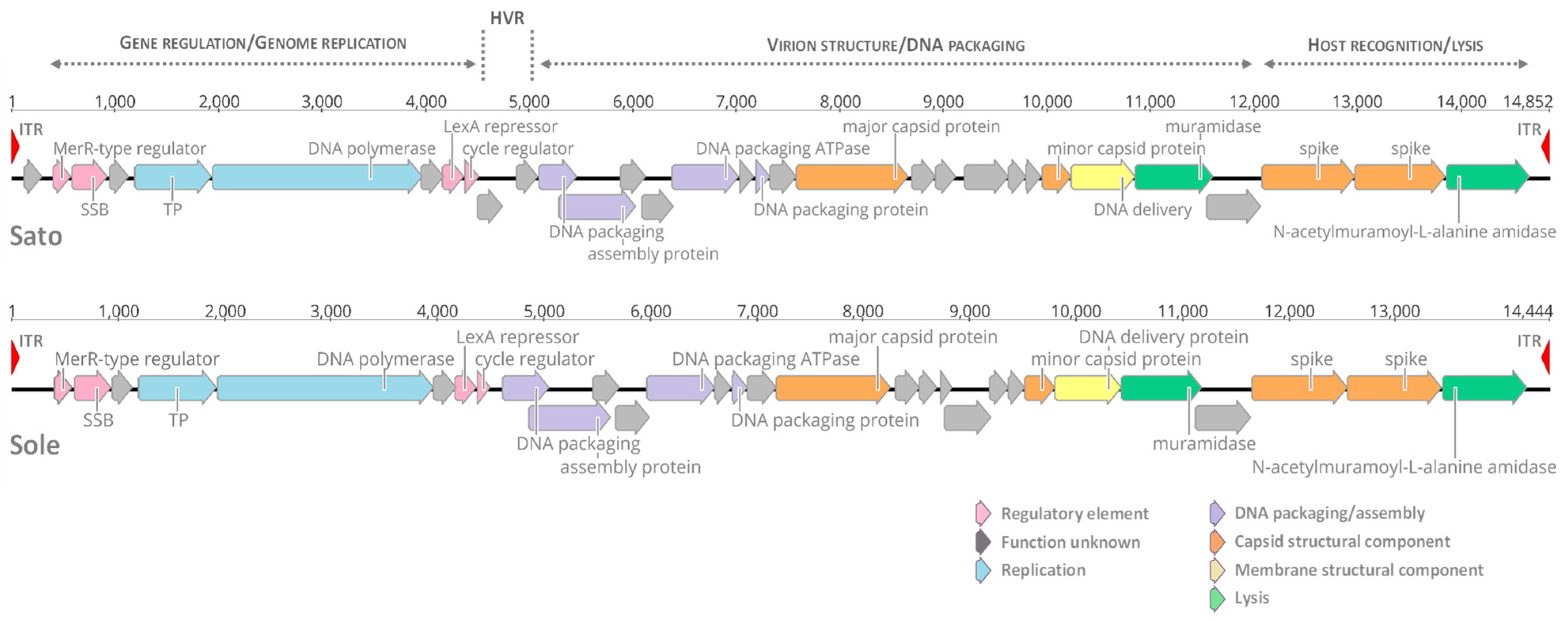 Microorganisms 09 01335 g001 Microorganisms 09 01335 g001