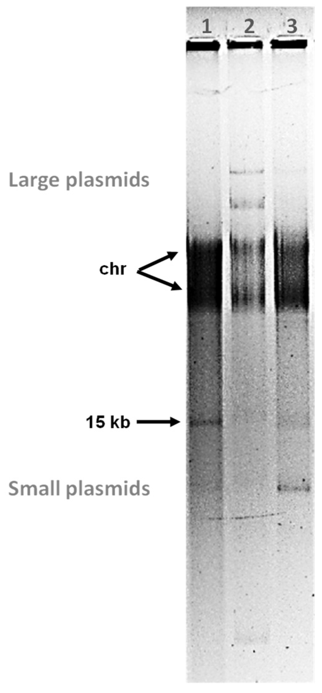 Microorganisms 09 01335 g002 Microorganisms 09 01335 g002