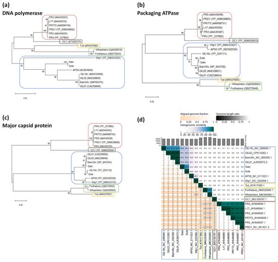 Microorganisms 09 01335 g004