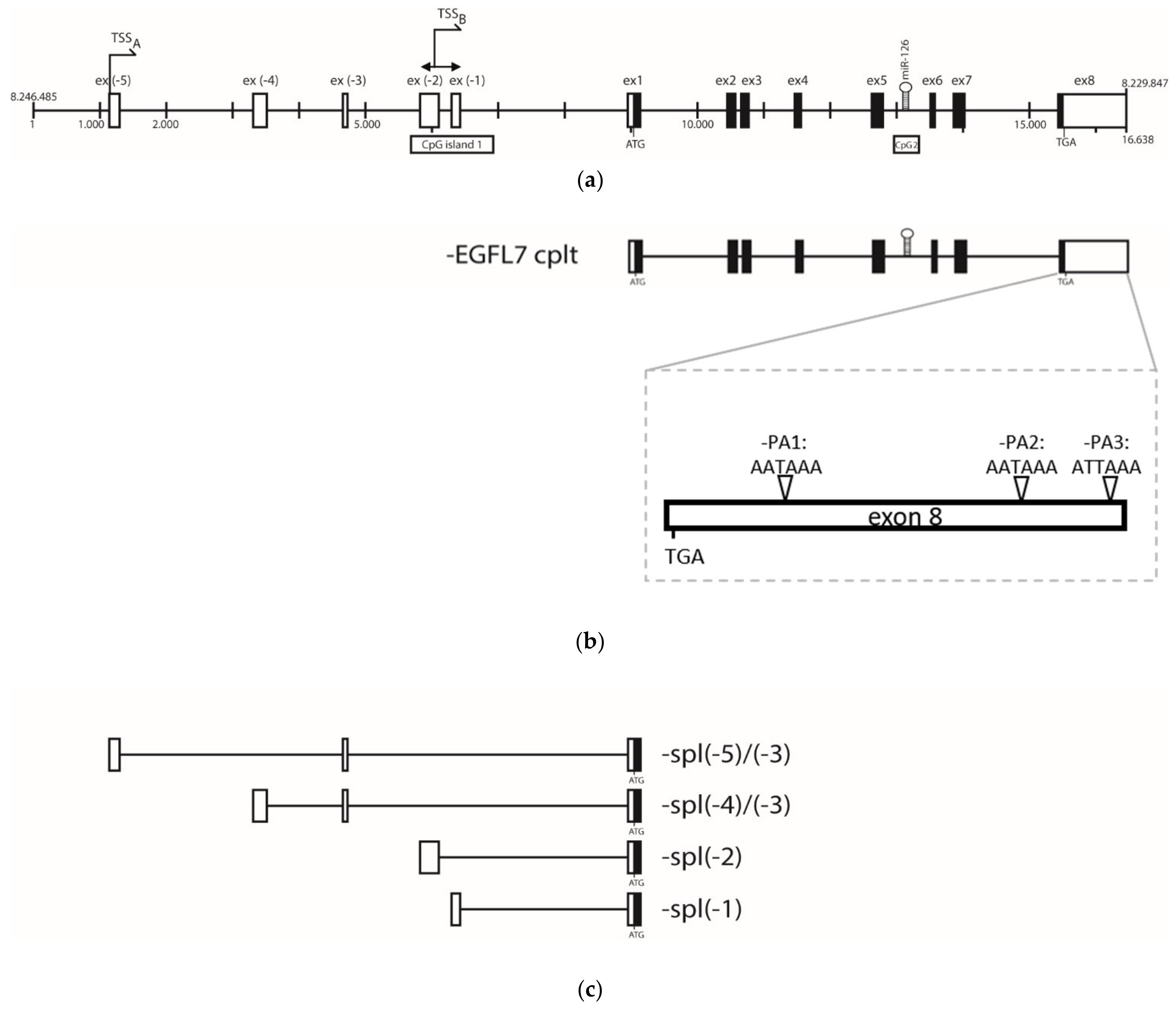 Microorganisms 09 01339 g002 Microorganisms 09 01339 g002