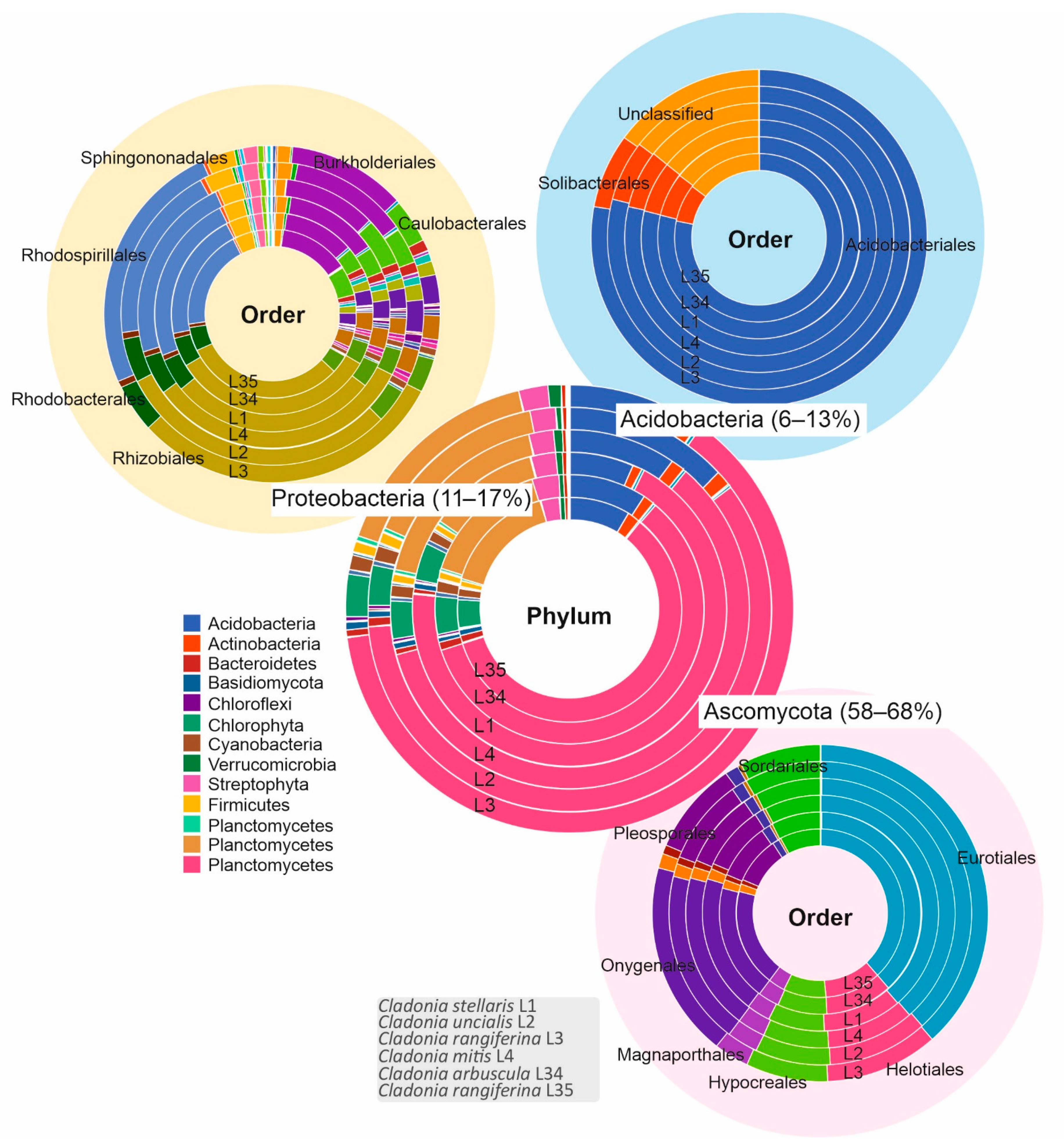 Microorganisms 09 01347 g002
