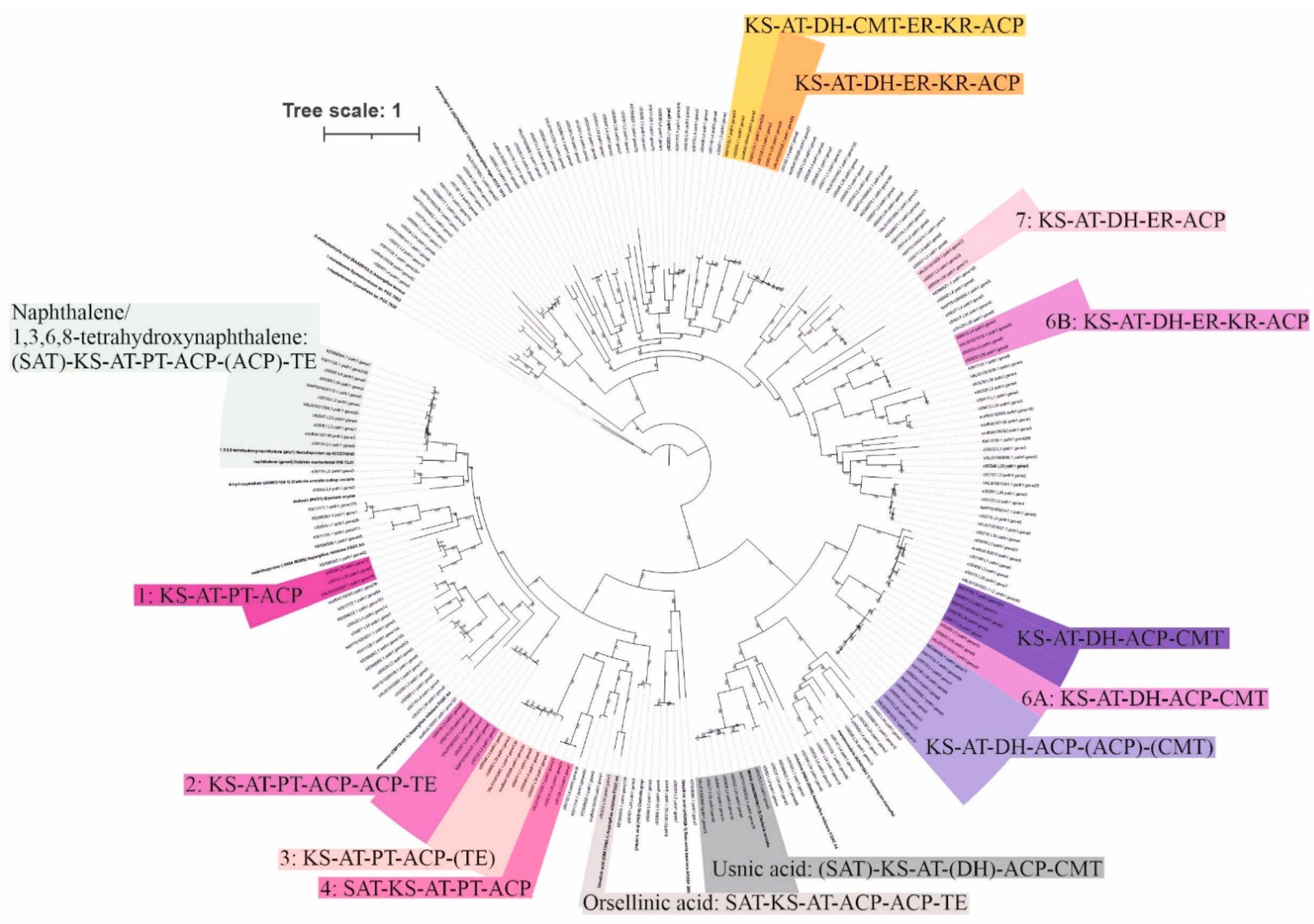 Microorganisms 09 01347 g003