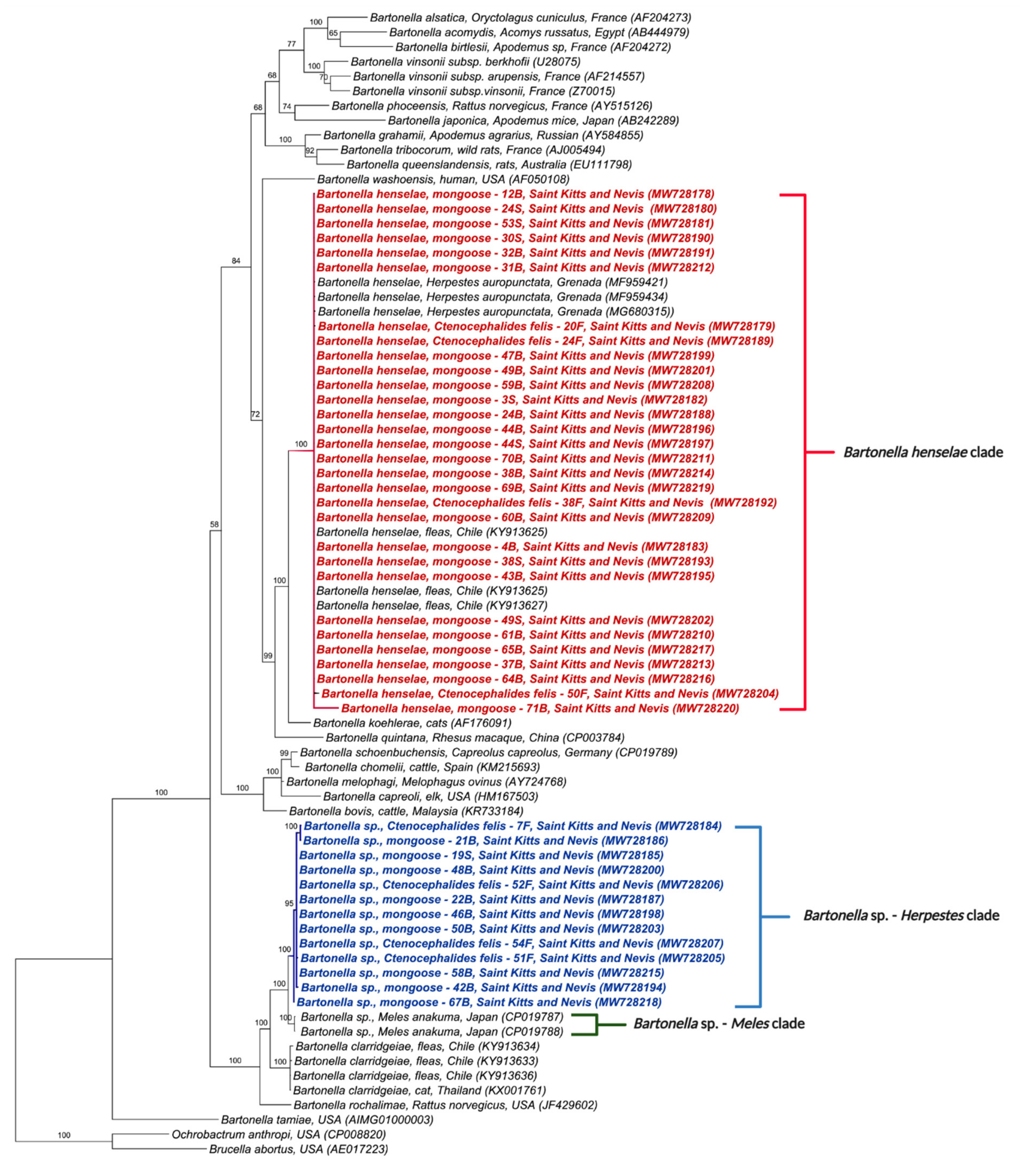 Microorganisms 09 01350 g001