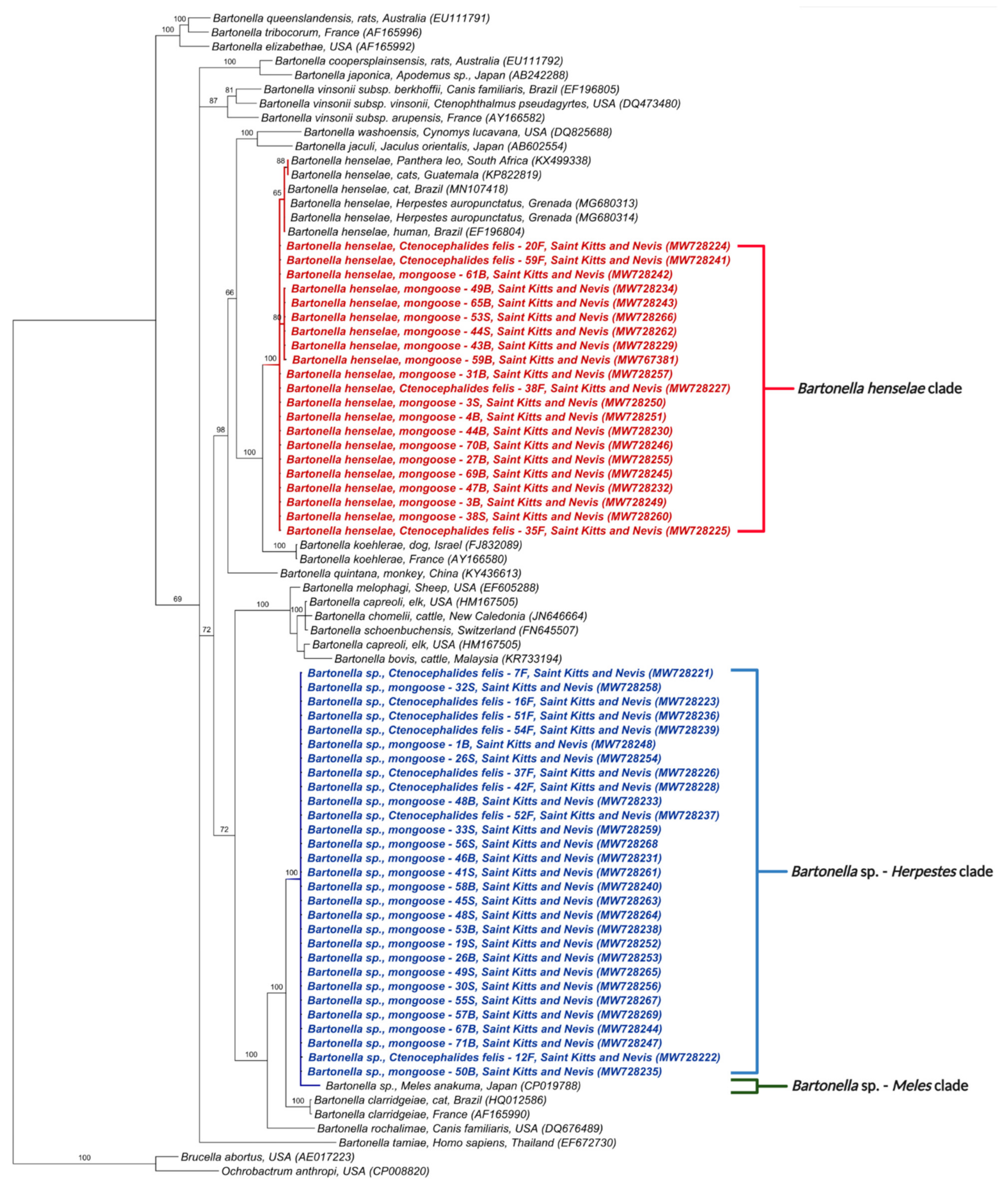 Microorganisms 09 01350 g002