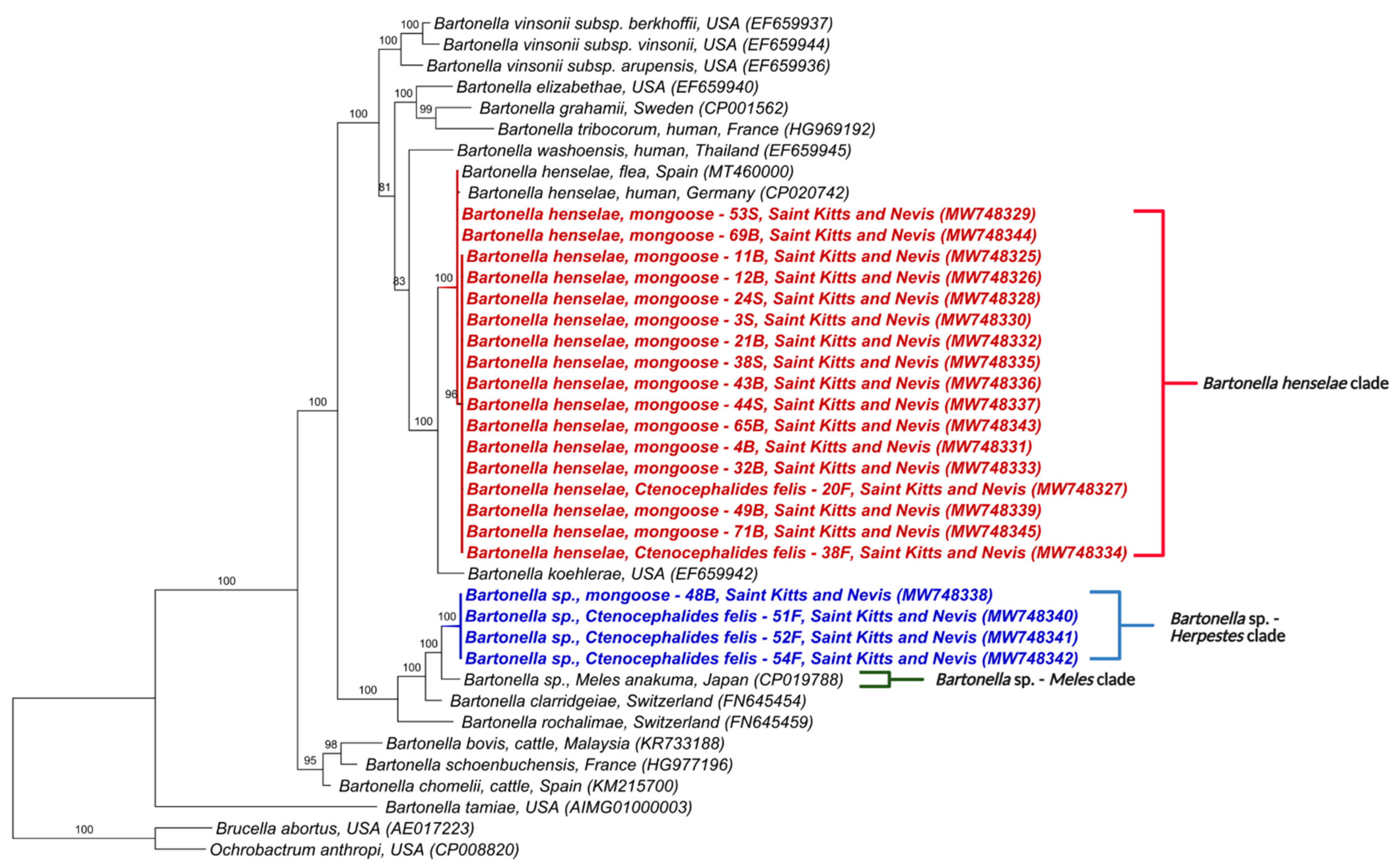 Microorganisms 09 01350 g003