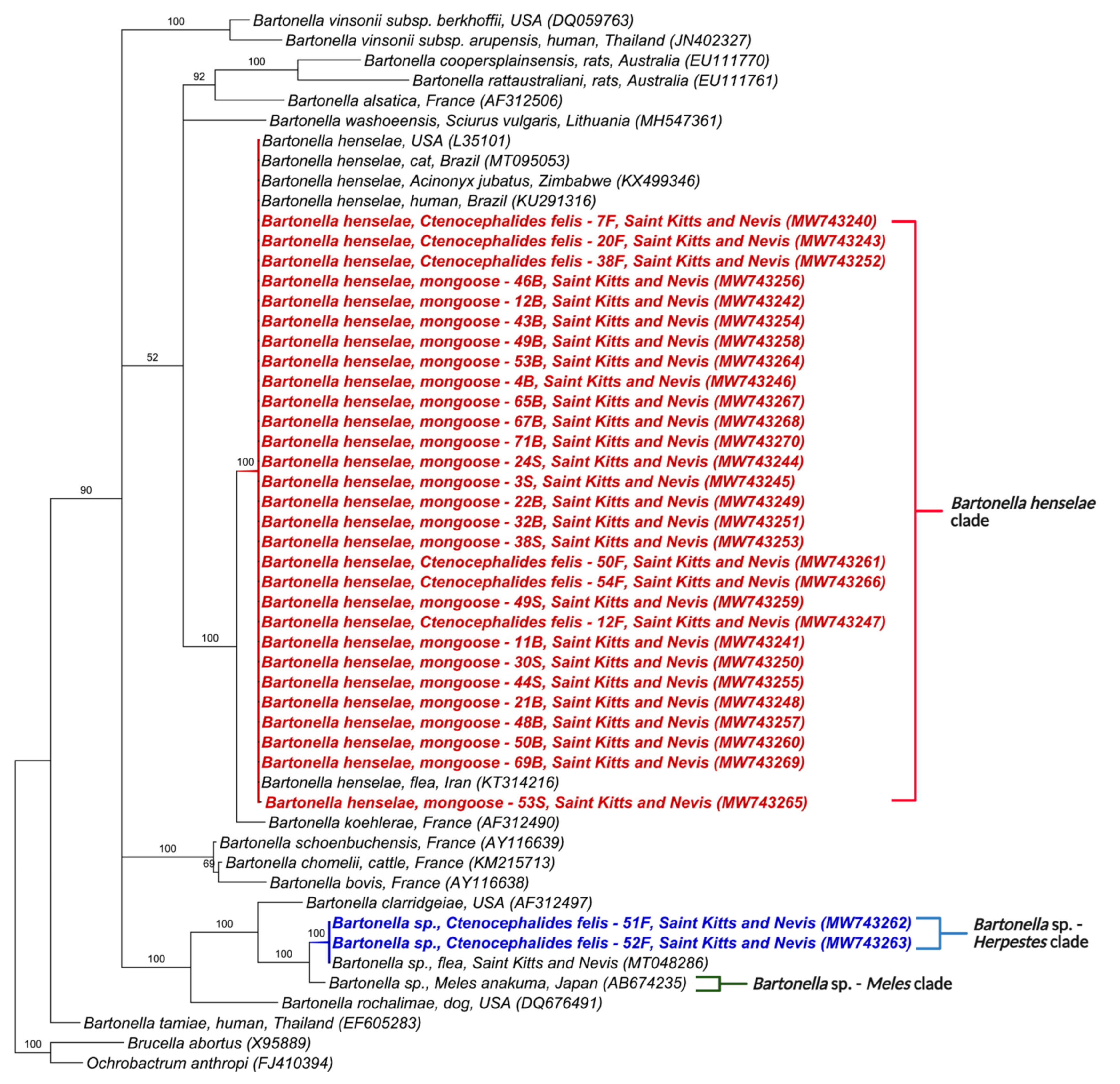Microorganisms 09 01350 g004