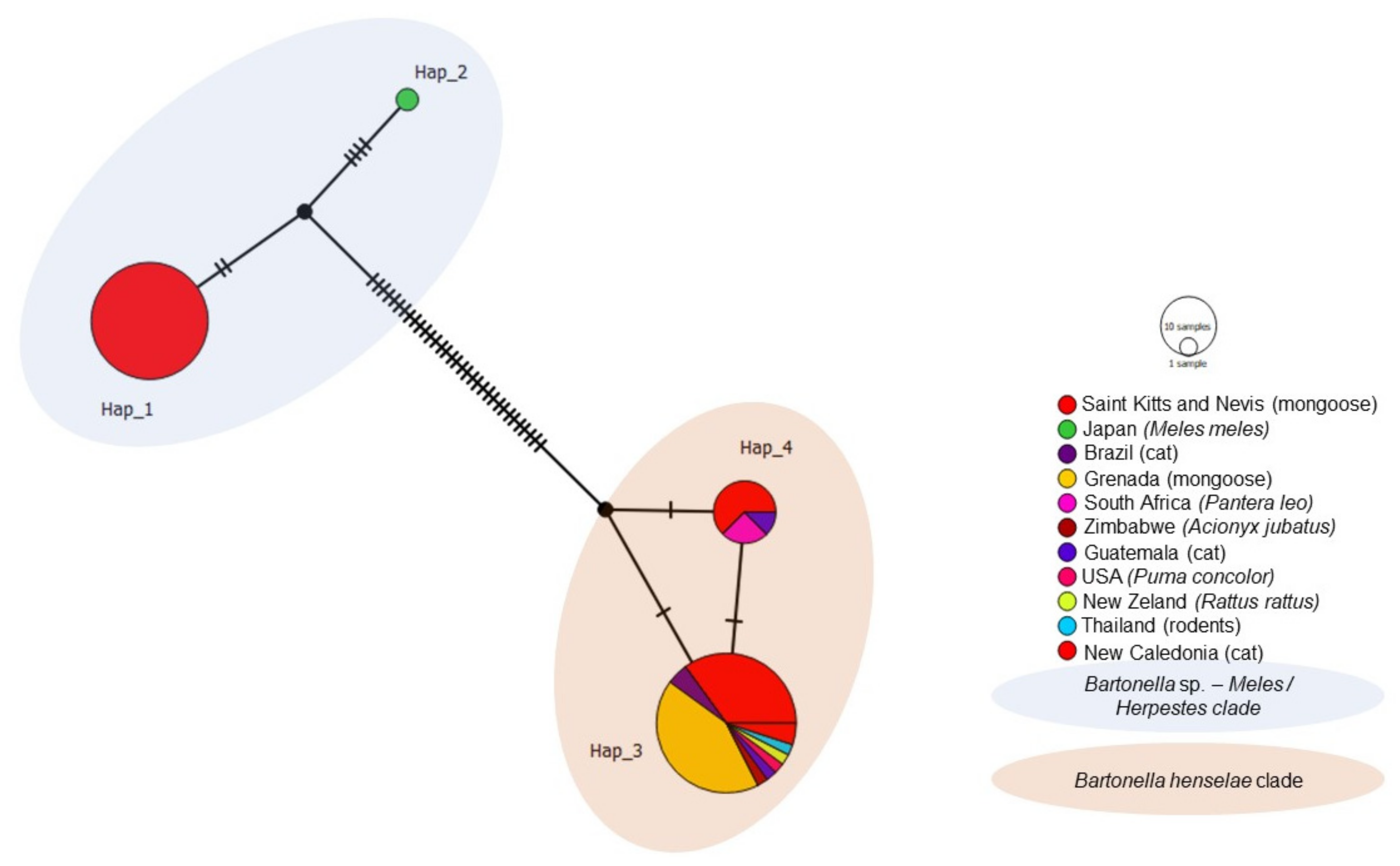Microorganisms 09 01350 g007