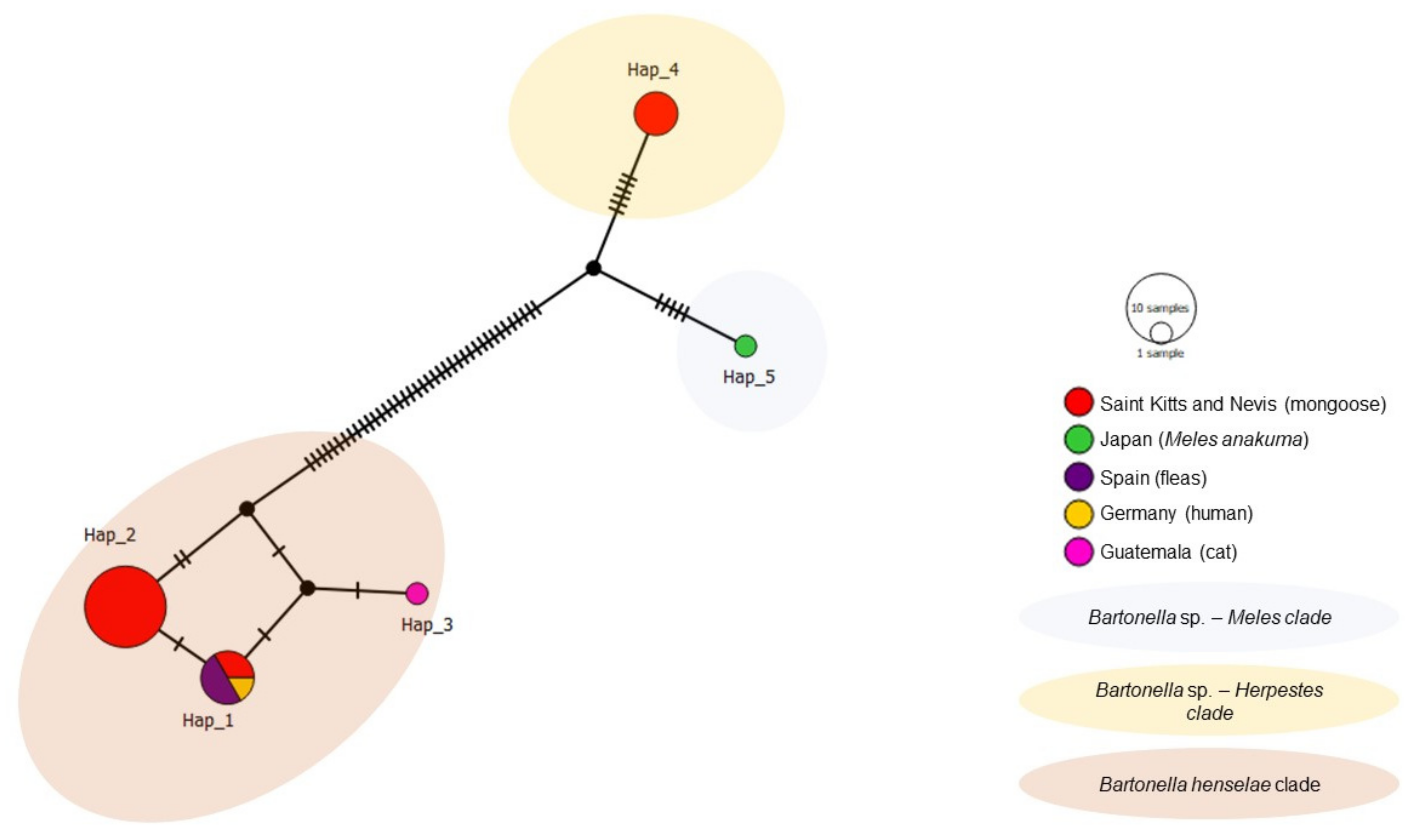 Microorganisms 09 01350 g008