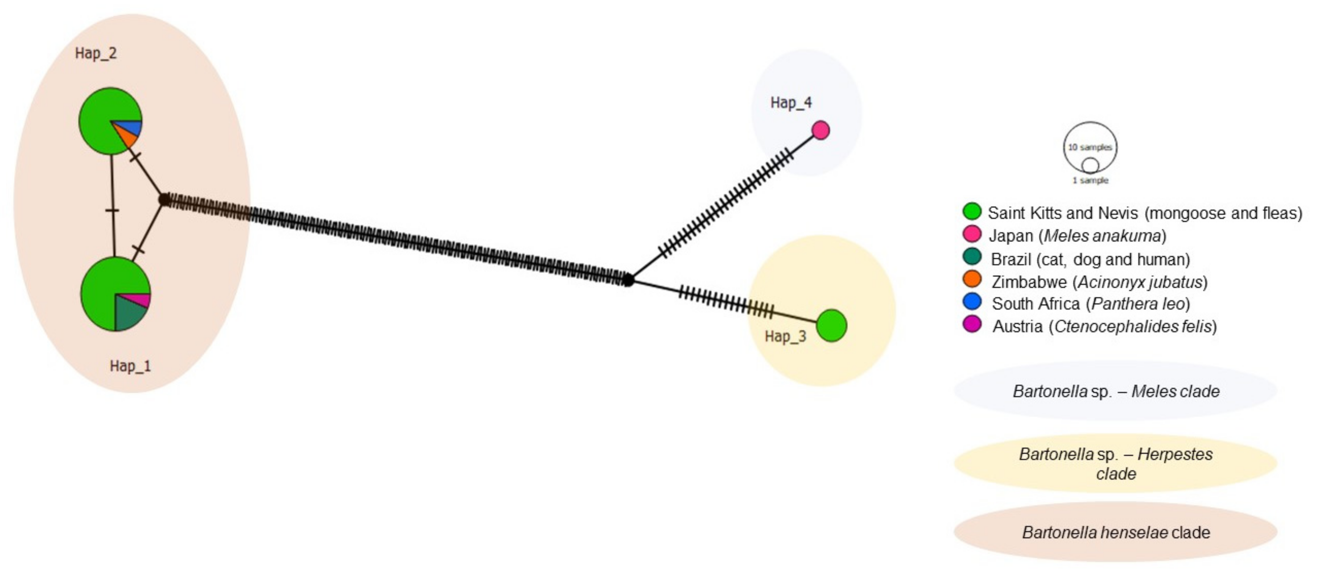 Microorganisms 09 01350 g009