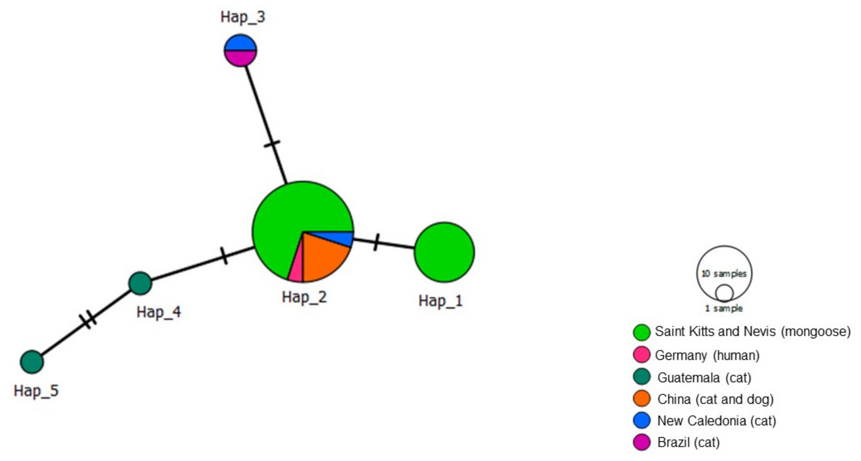 Microorganisms 09 01350 g010