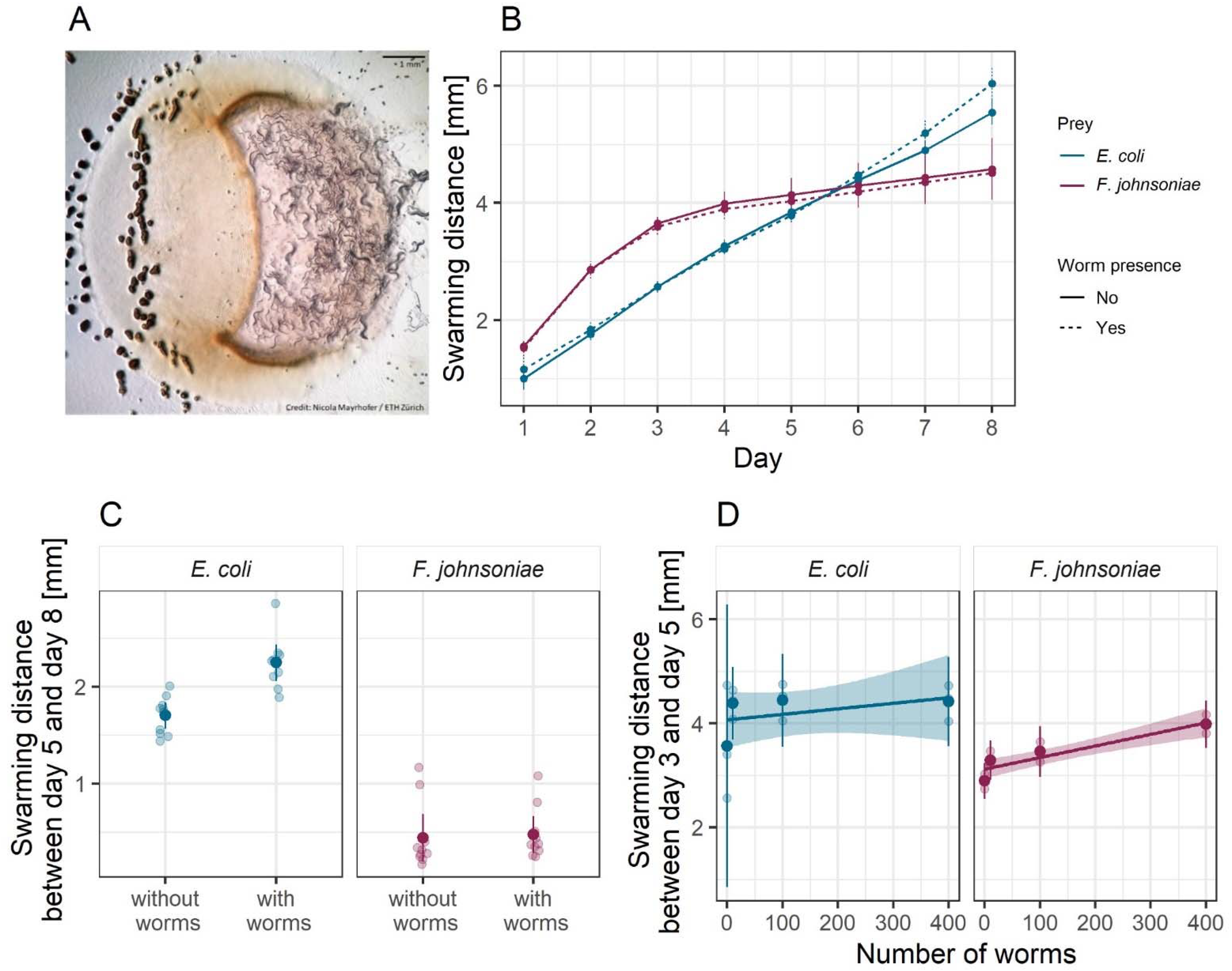 Microorganisms 09 01362 g005