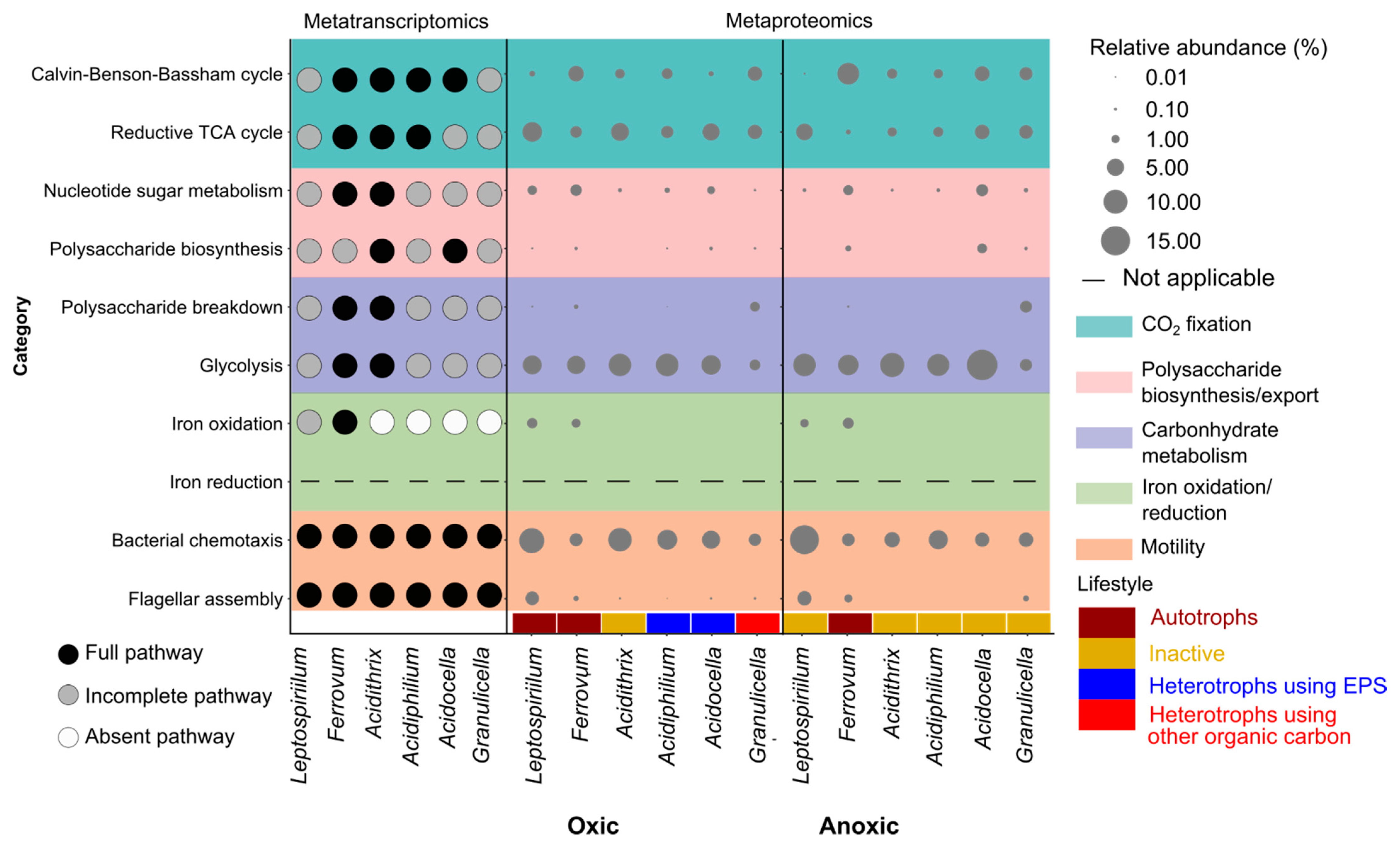 Microorganisms 09 01368 g005