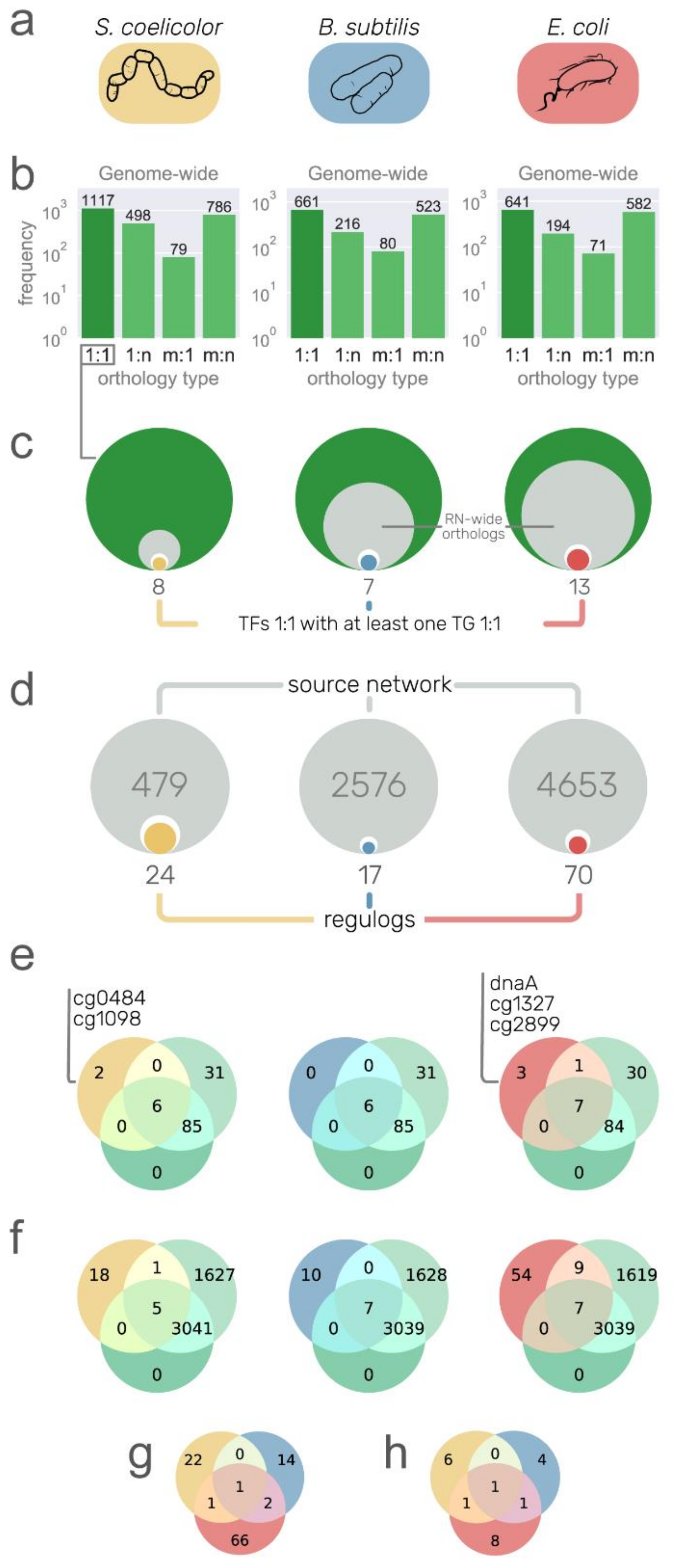 Microorganisms 09 01395 g004