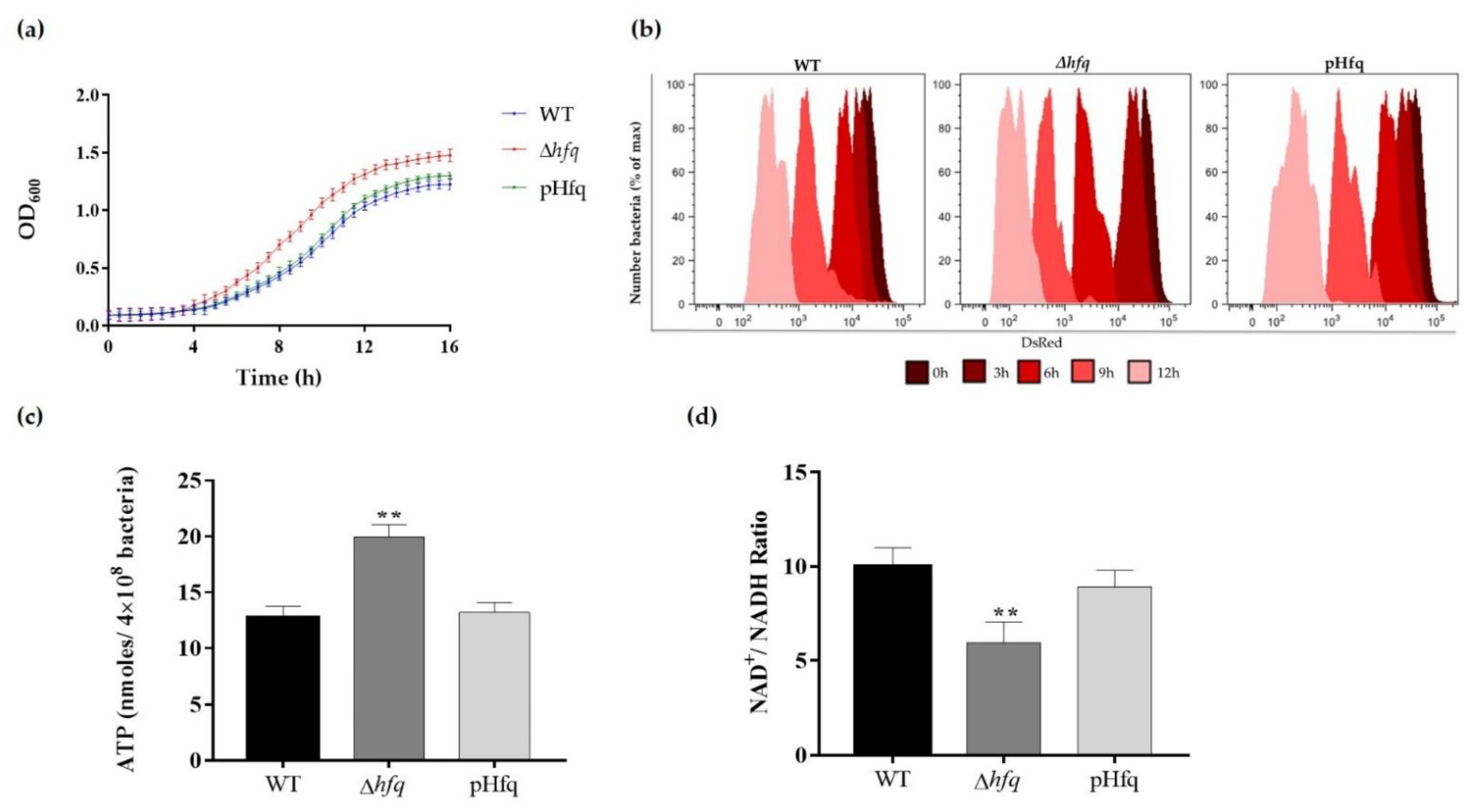 Microorganisms 09 01404 g001 Microorganisms 09 01404 g001